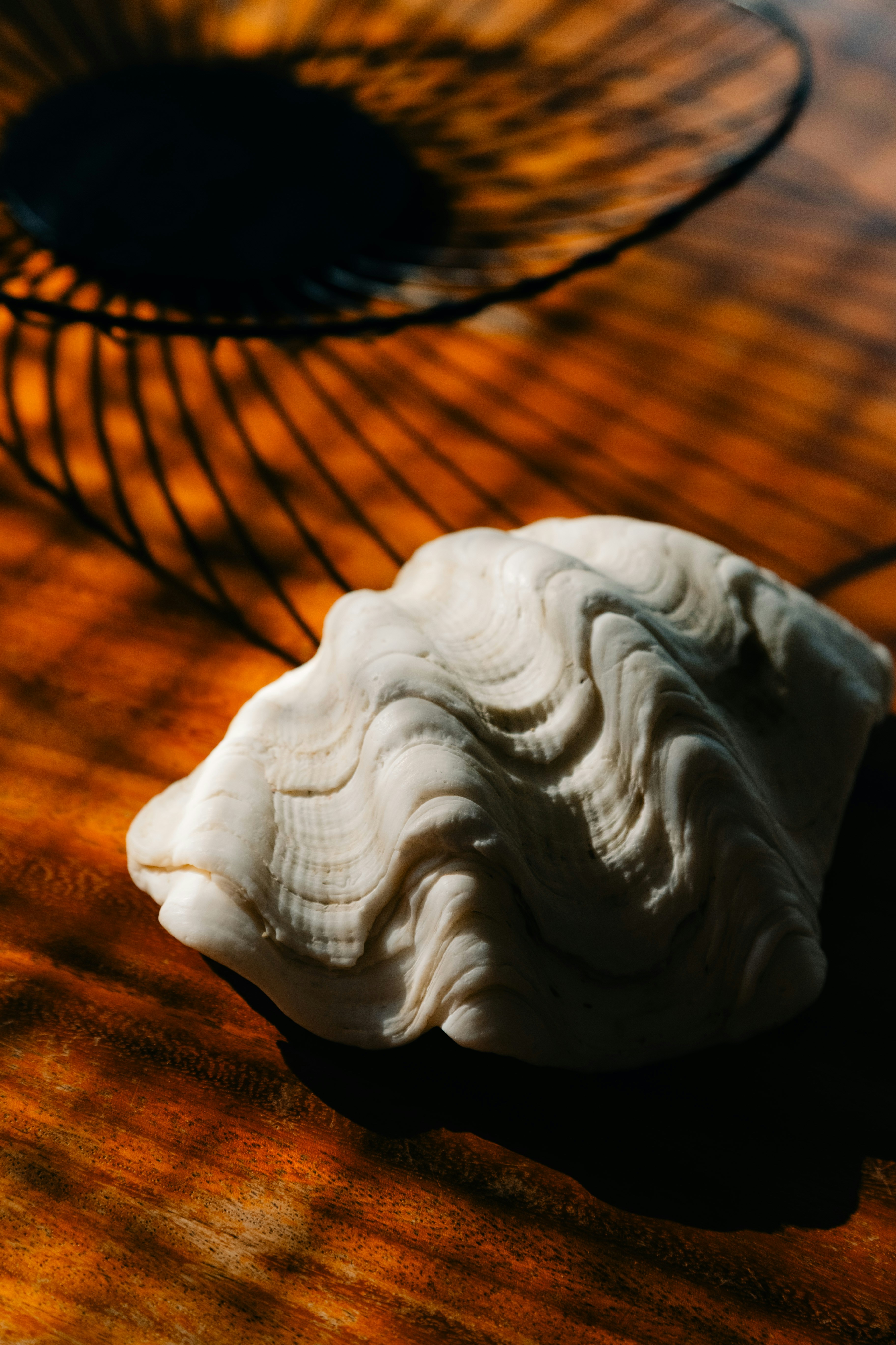 Uma concha branca texturizada repousa sobre uma superfície de madeira.