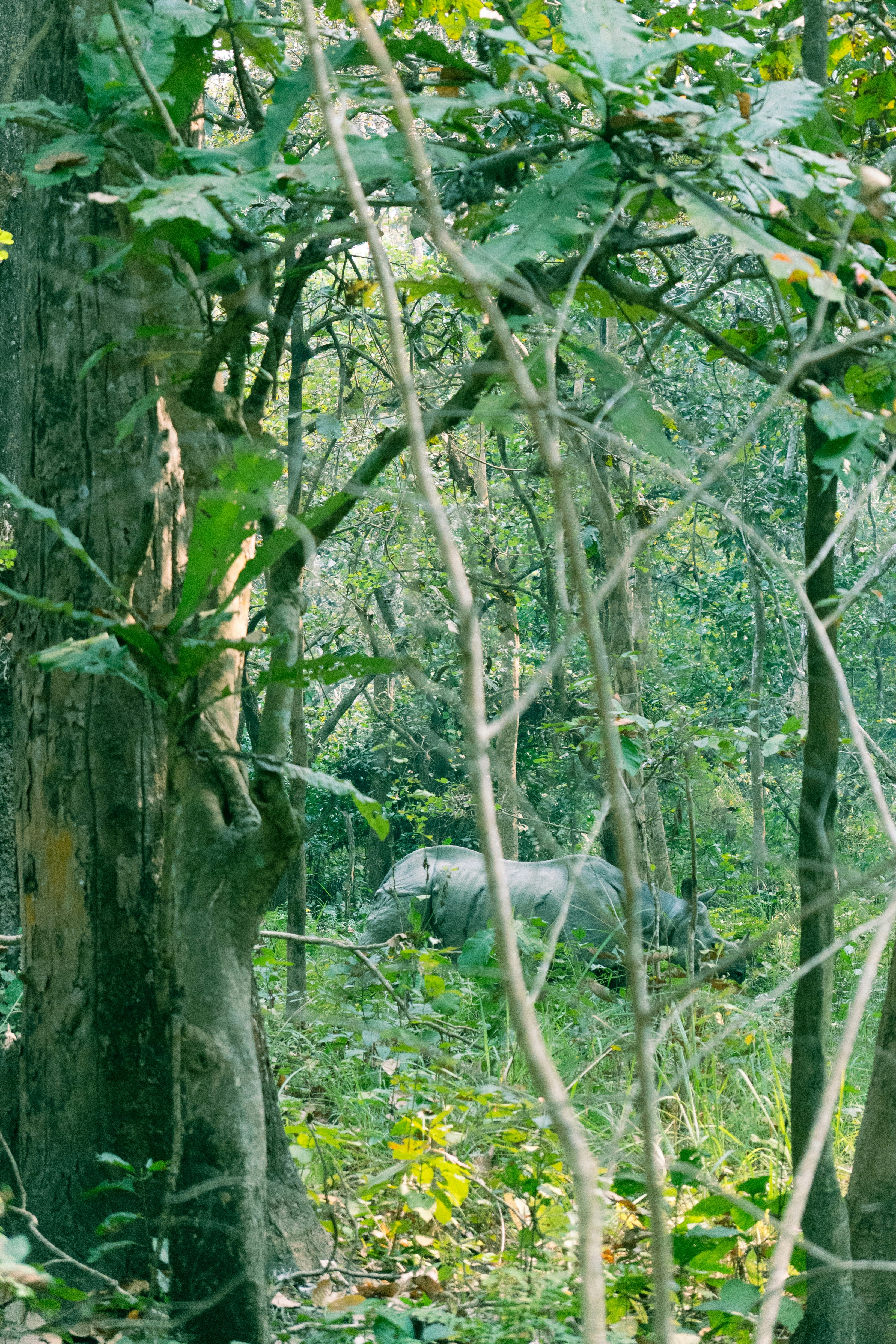 Photo by sanchitg123