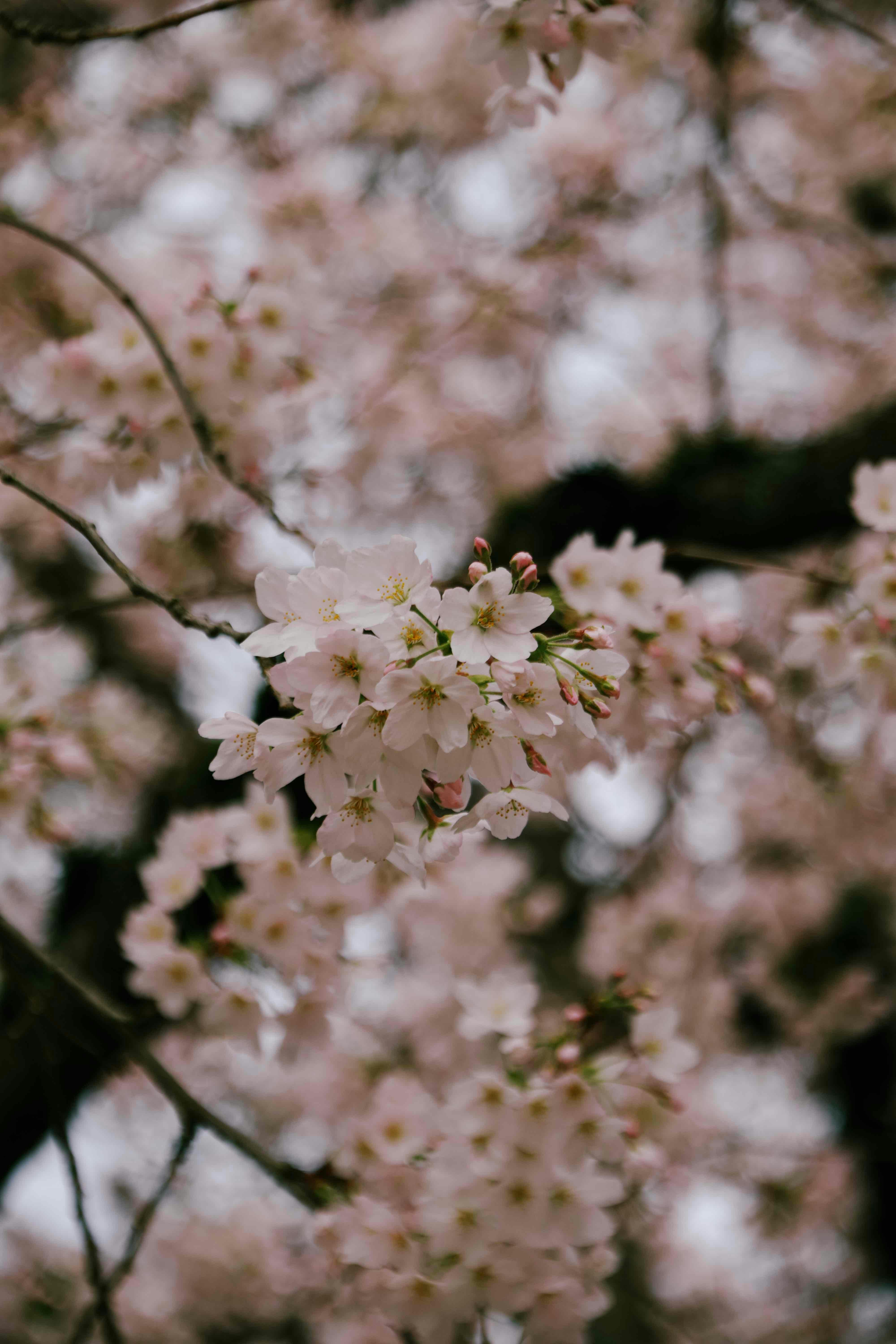 Photo by sarguninder