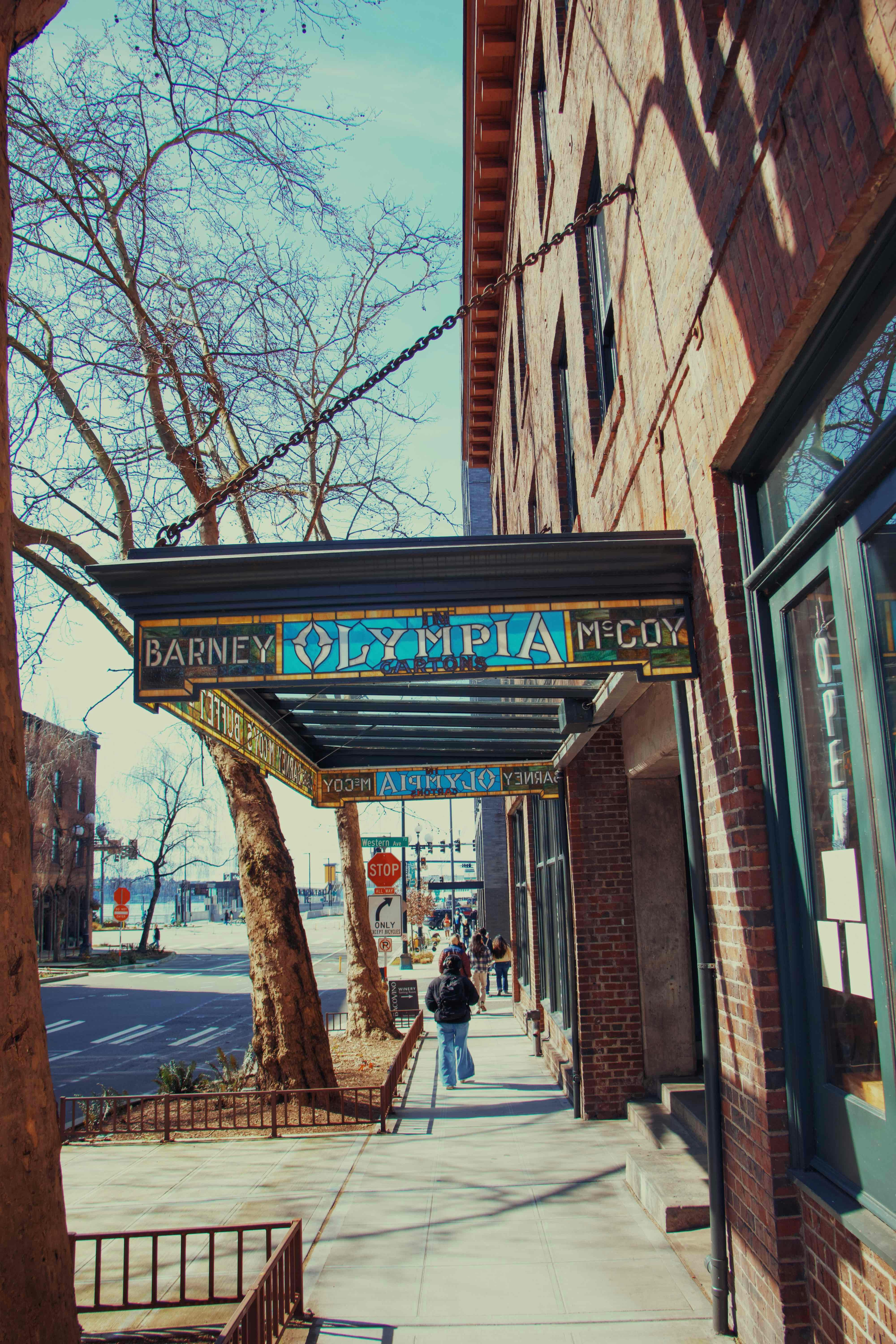 Ski Area: Slopes, Gondolas, and Alpine Convenience