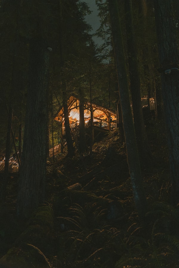 Cabane la nuit