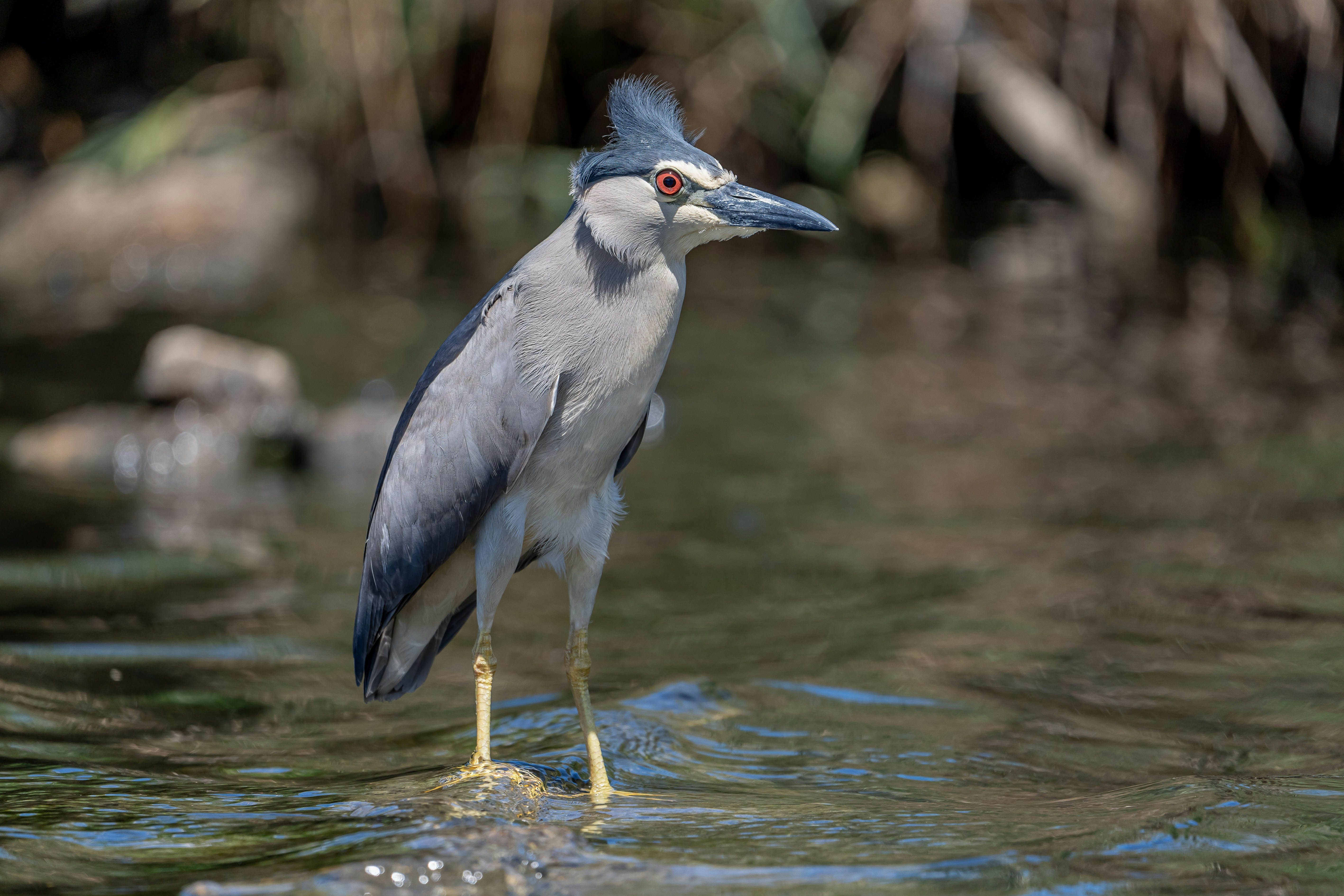 Photo by marc_julien_photography