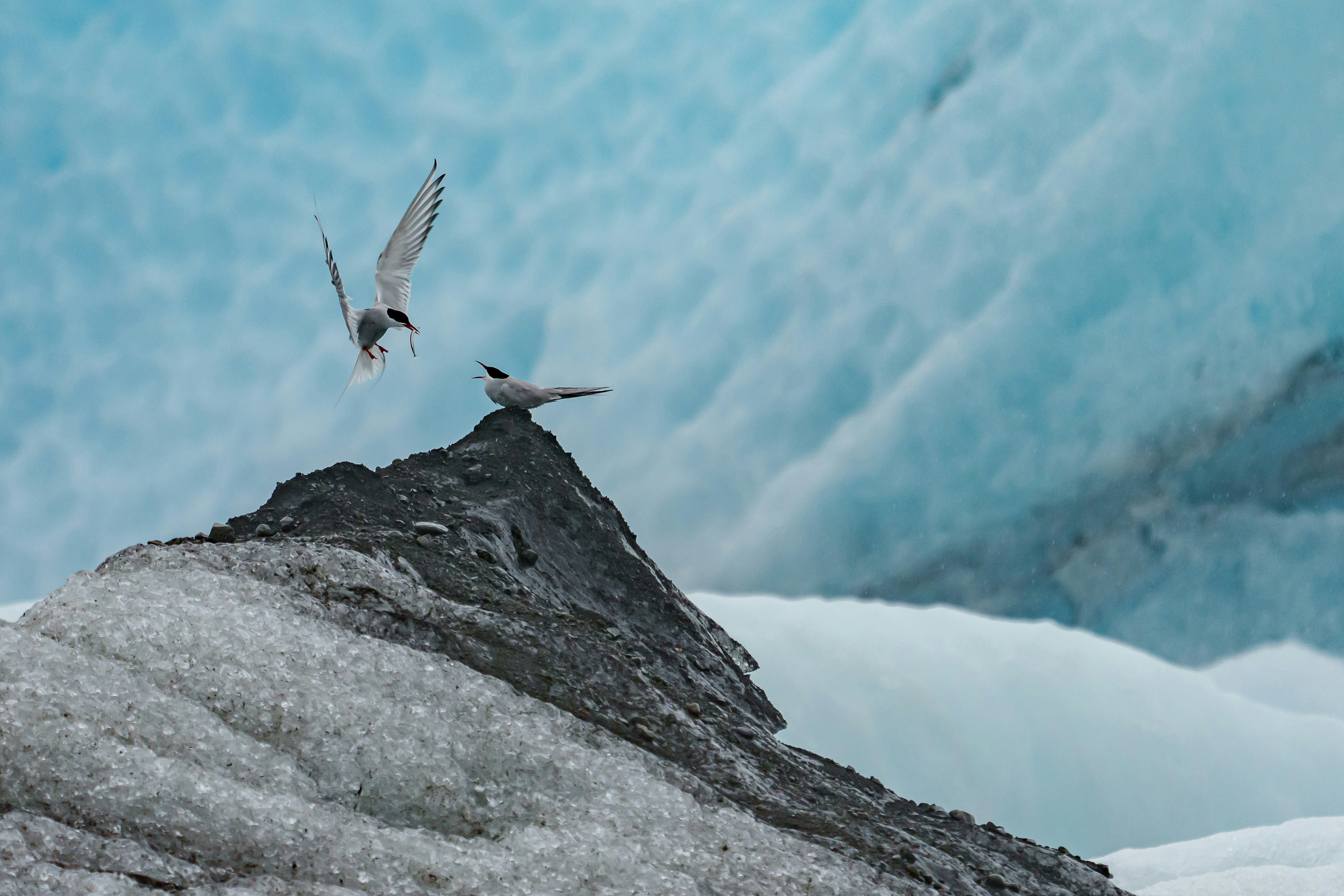 Photo by marc_julien_photography