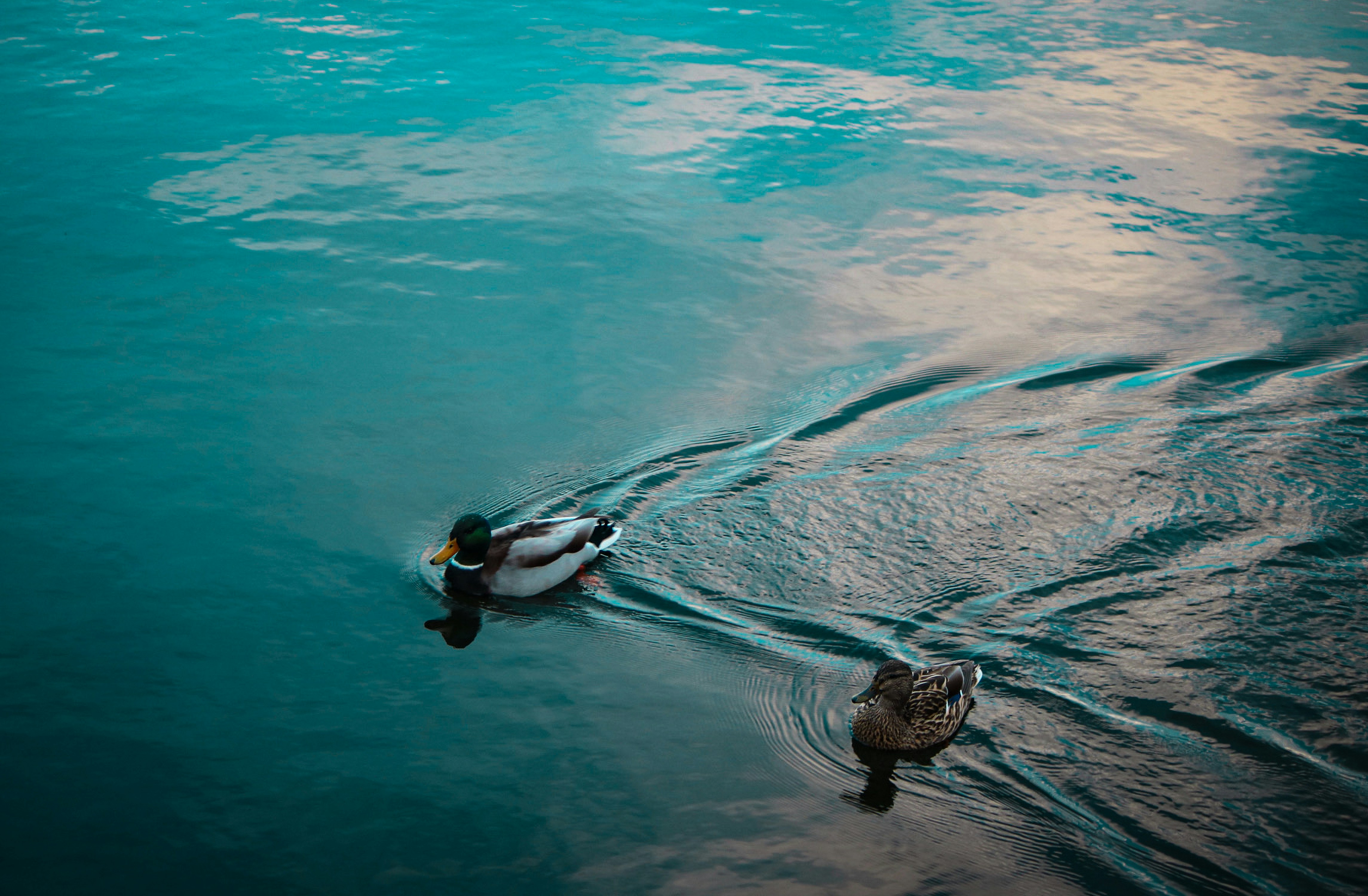 Photo by orevaoghene