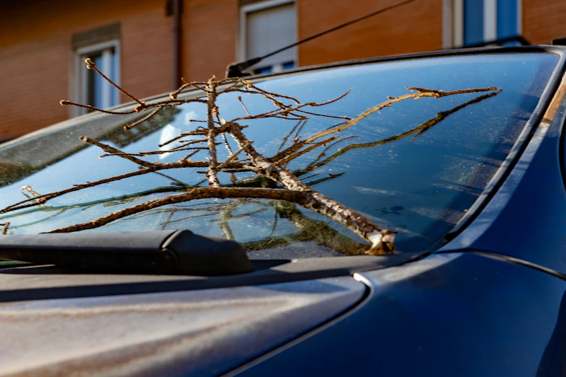Glass Repair & Replacement example 2