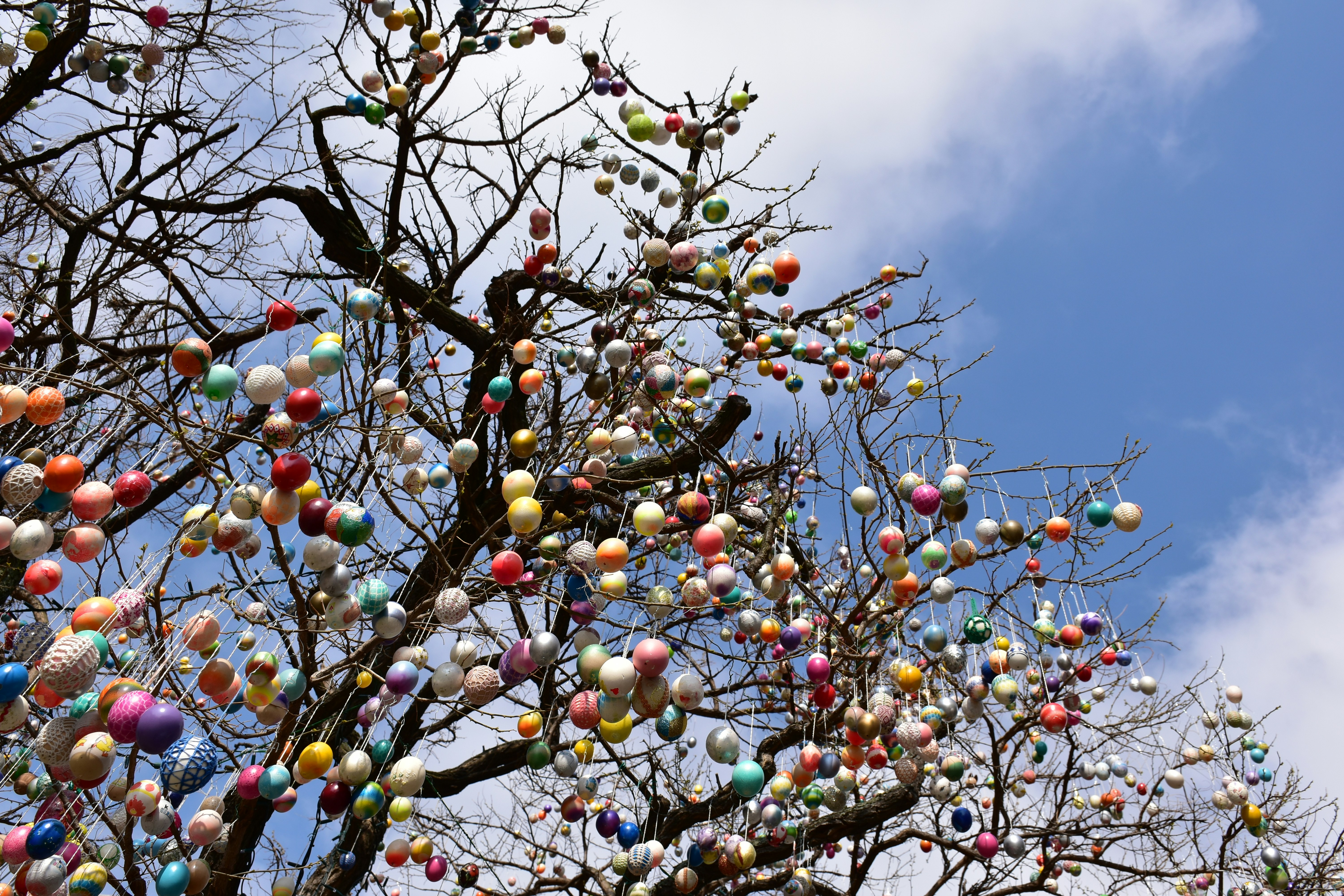 Colorful easter eggs hanging from bare tree branches.