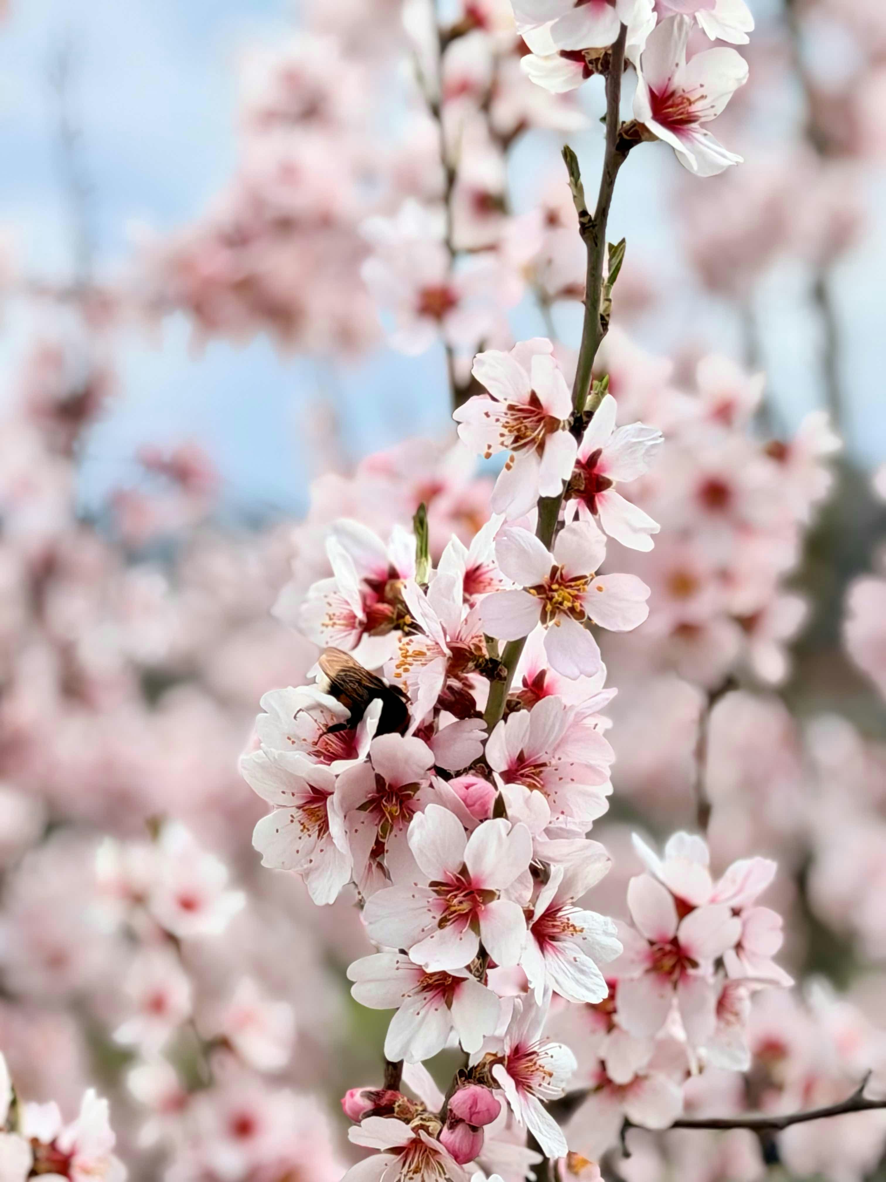 Photo by michaelarimakova