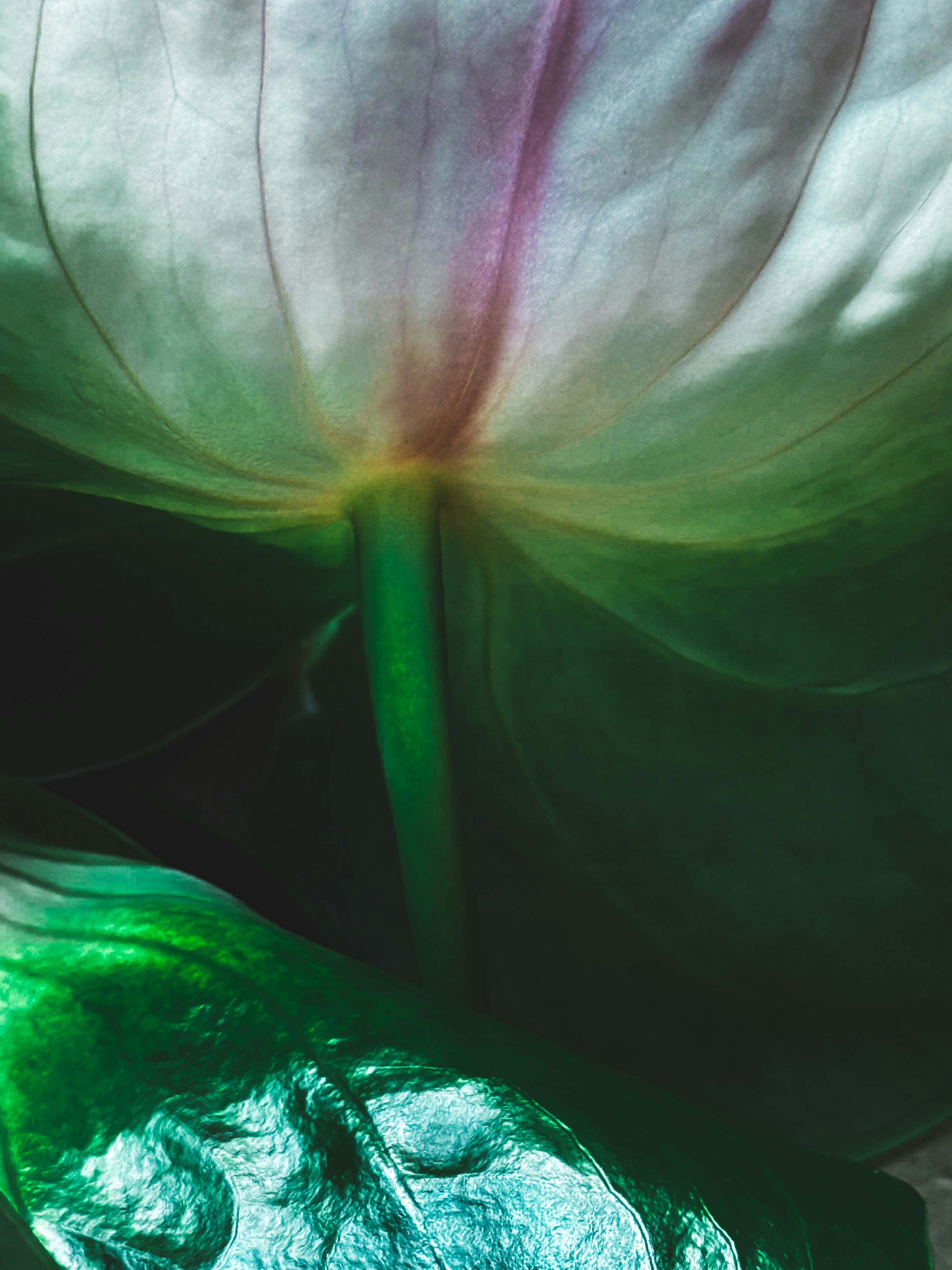 Photo by feliciafelicia