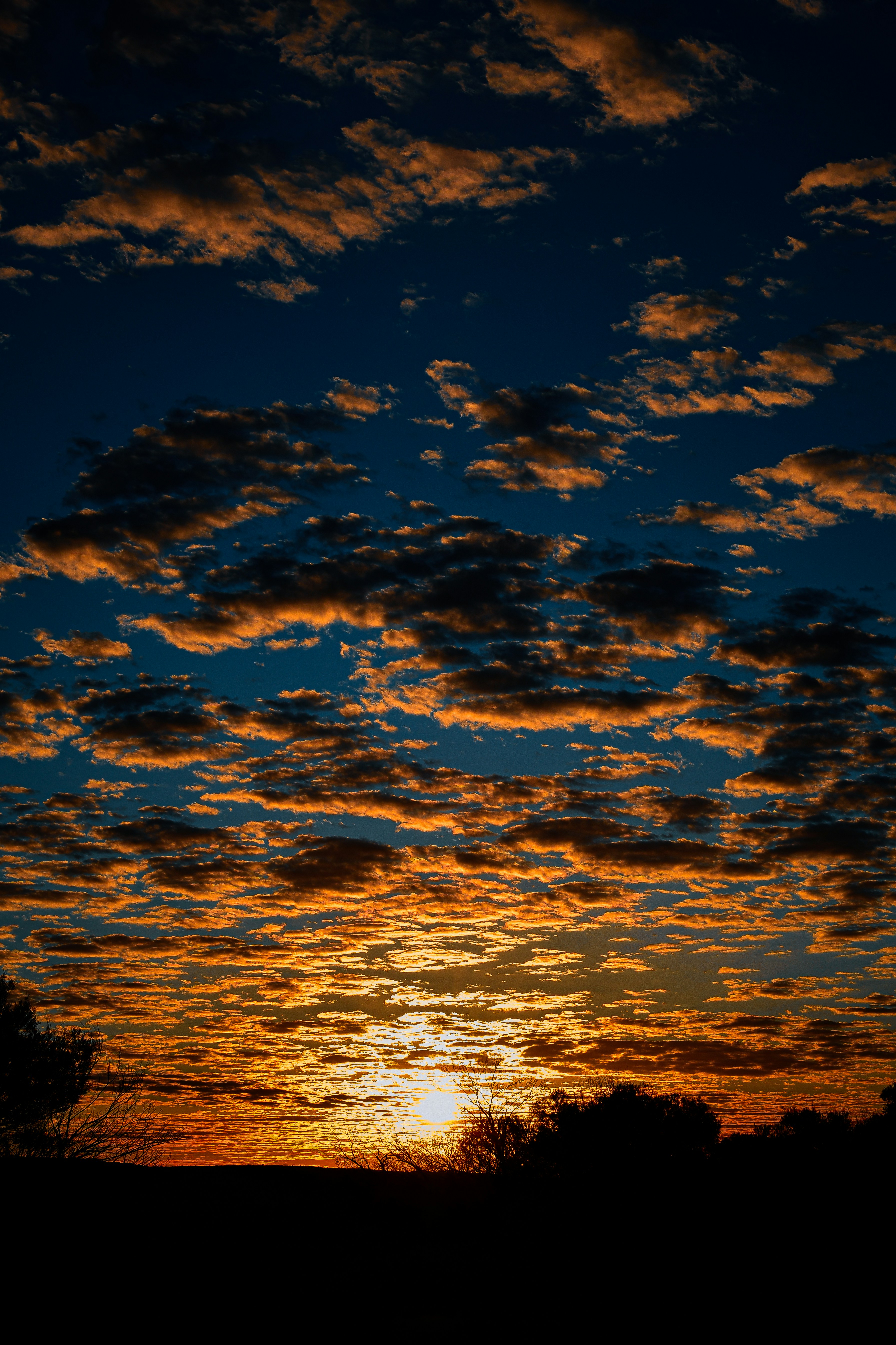 Photo by armandmckenzie