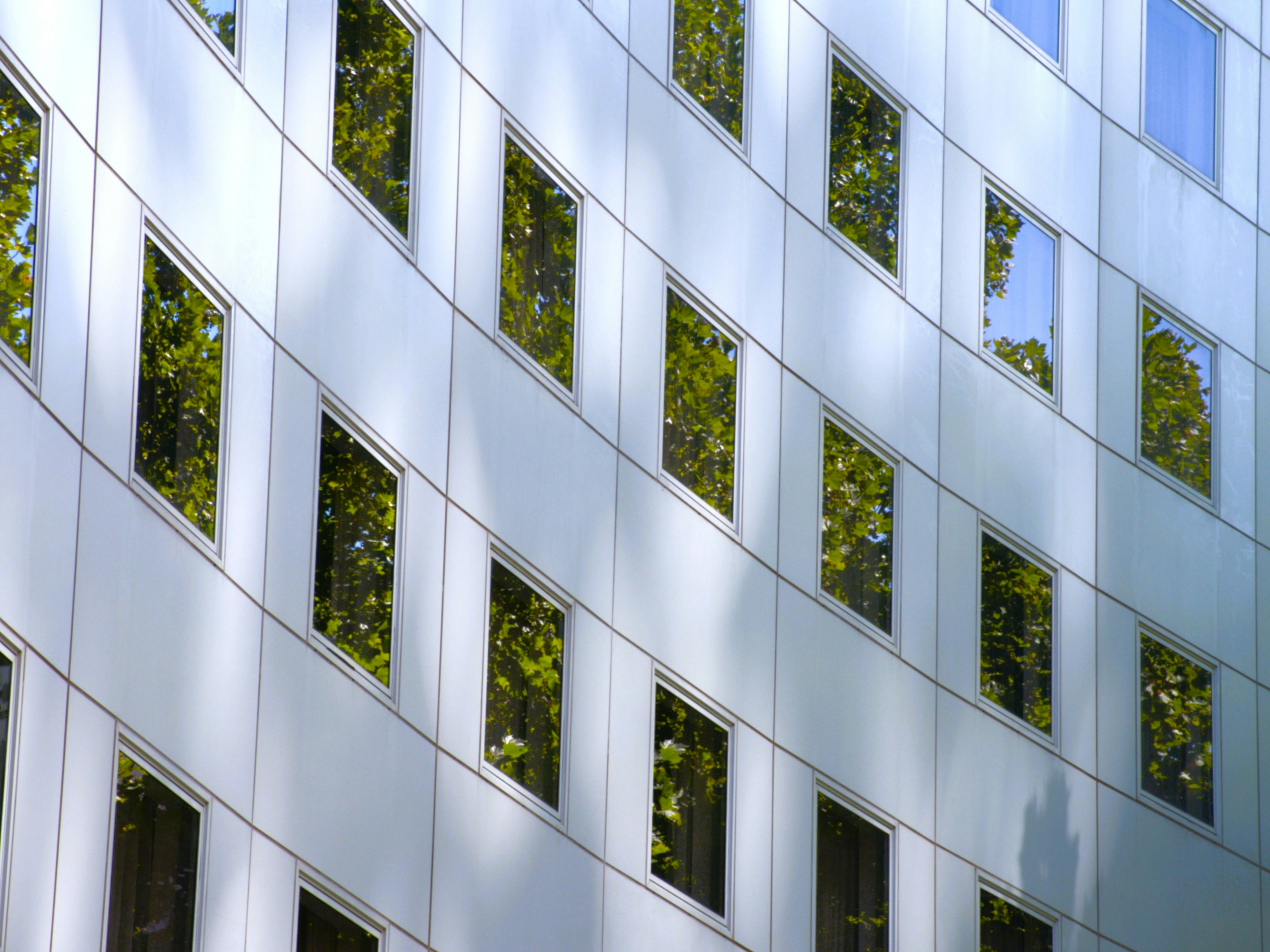 Photo by saman_adibfar