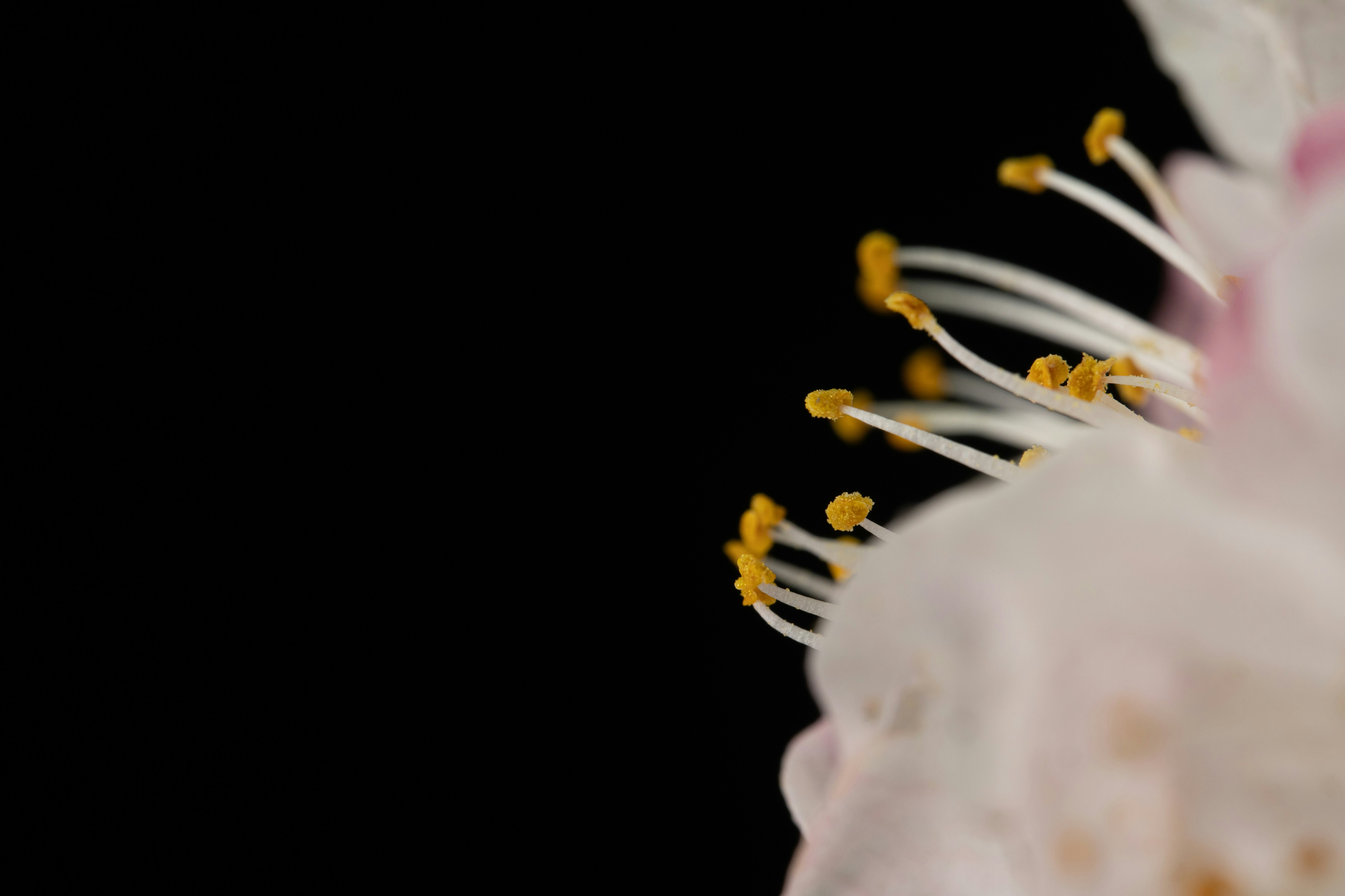 Determining The Right Alcohol And Drug Healing Facility For Lasting Recovery