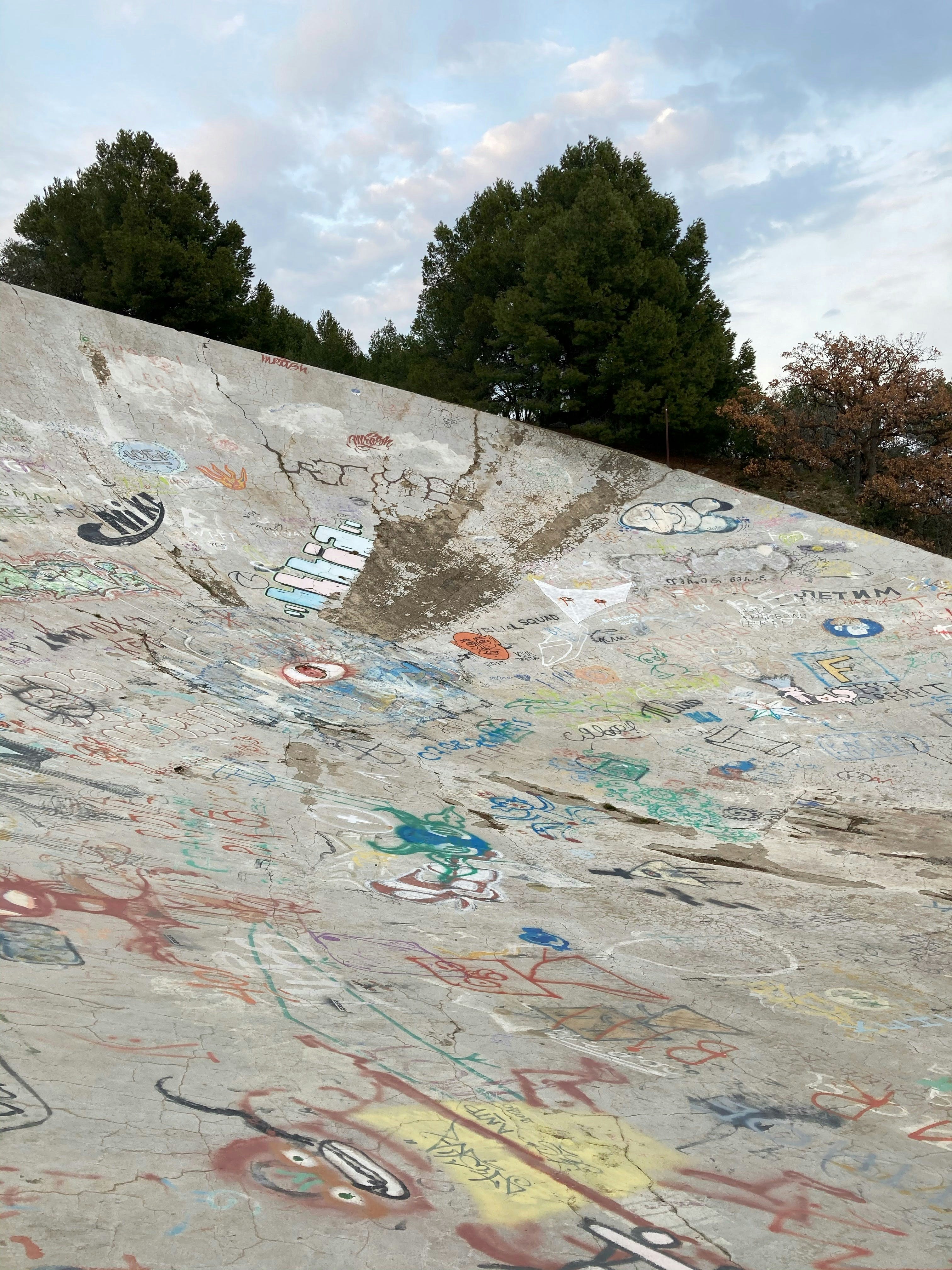 Graffiti covers a concrete slope with trees above.