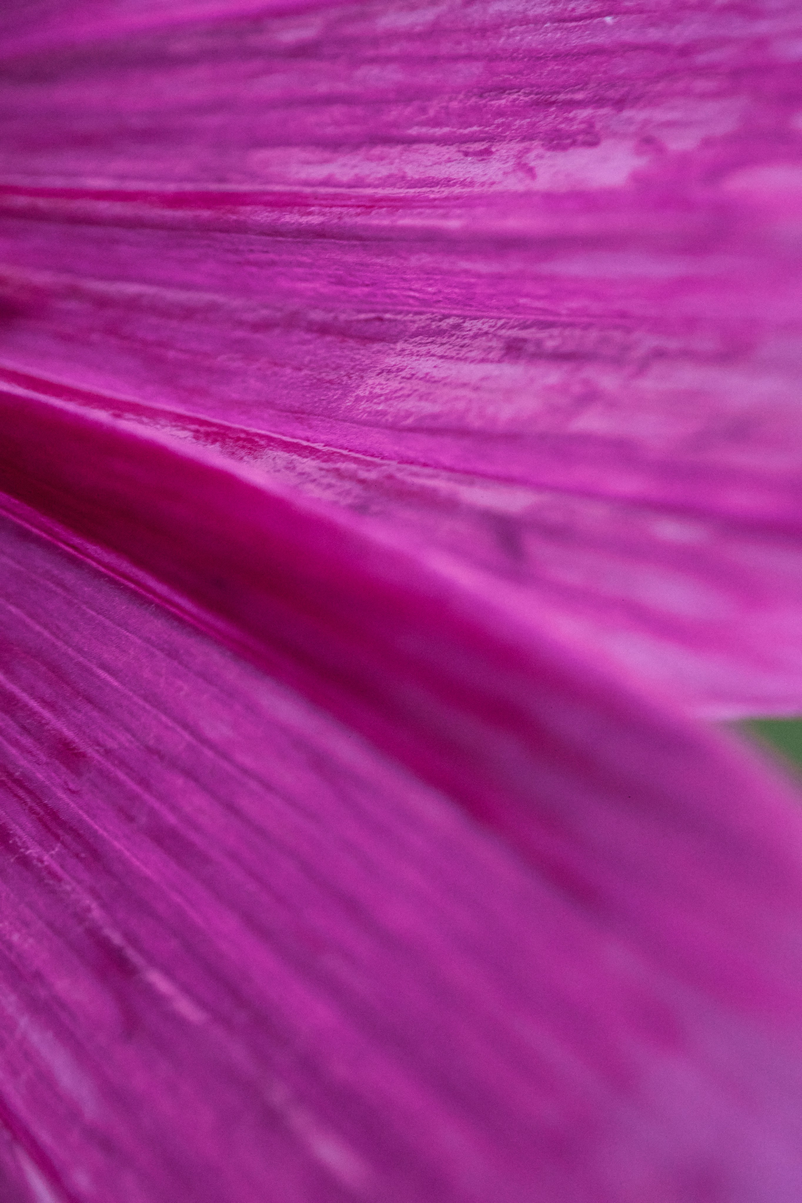 Photo by tsuyoshikozu