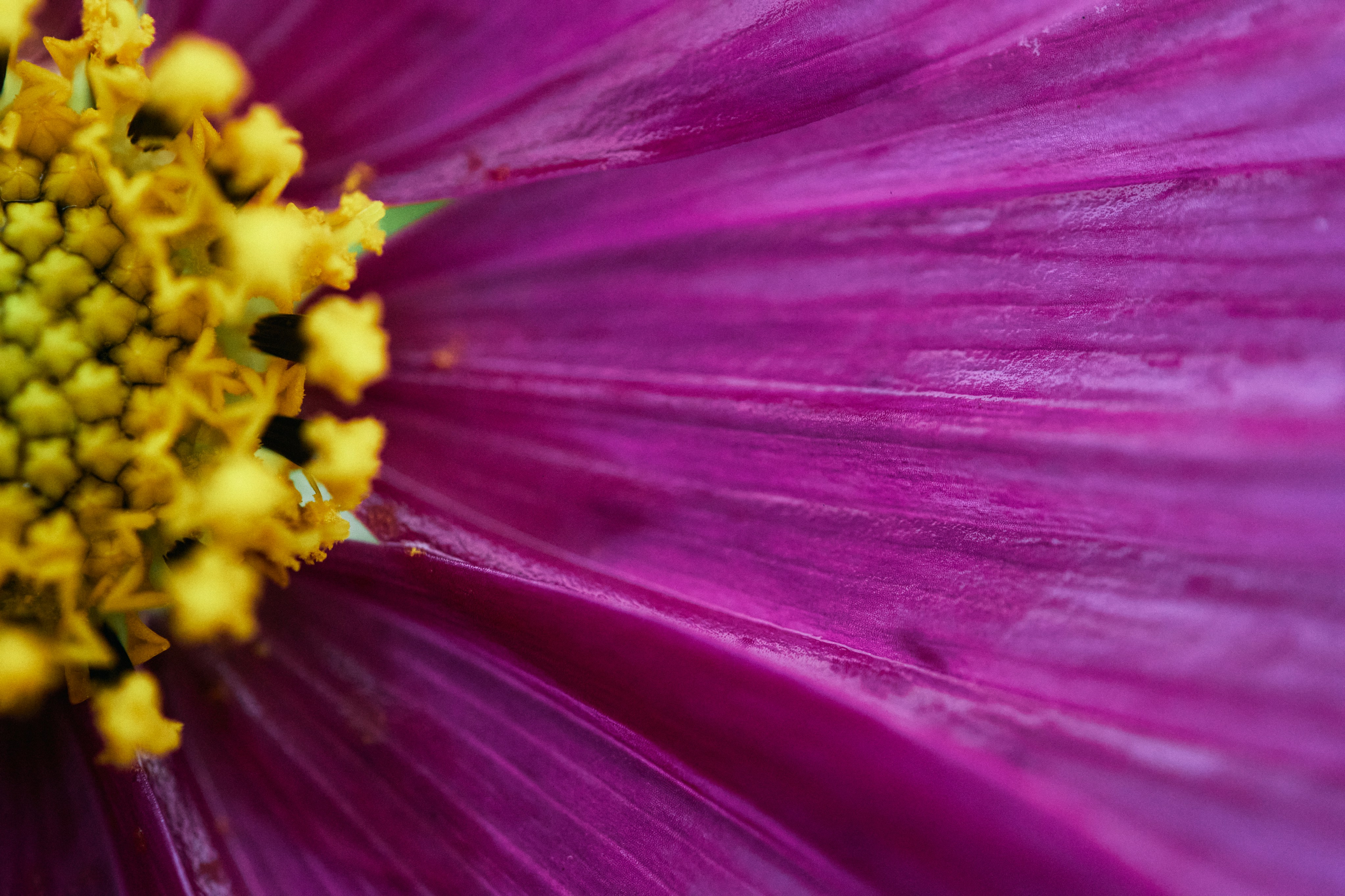 Photo by tsuyoshikozu