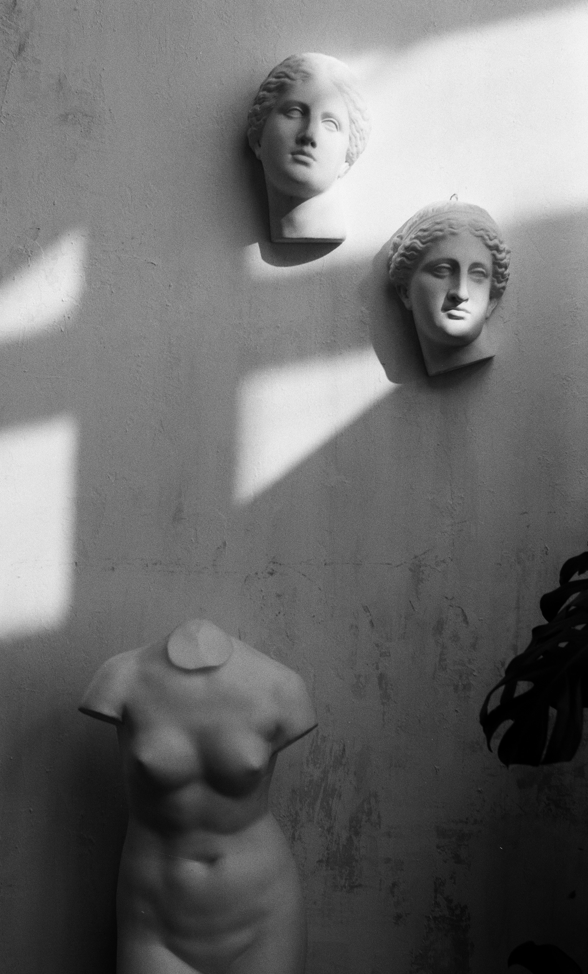 Zwei Marmorbüsten und ein Torso an einer Wand.