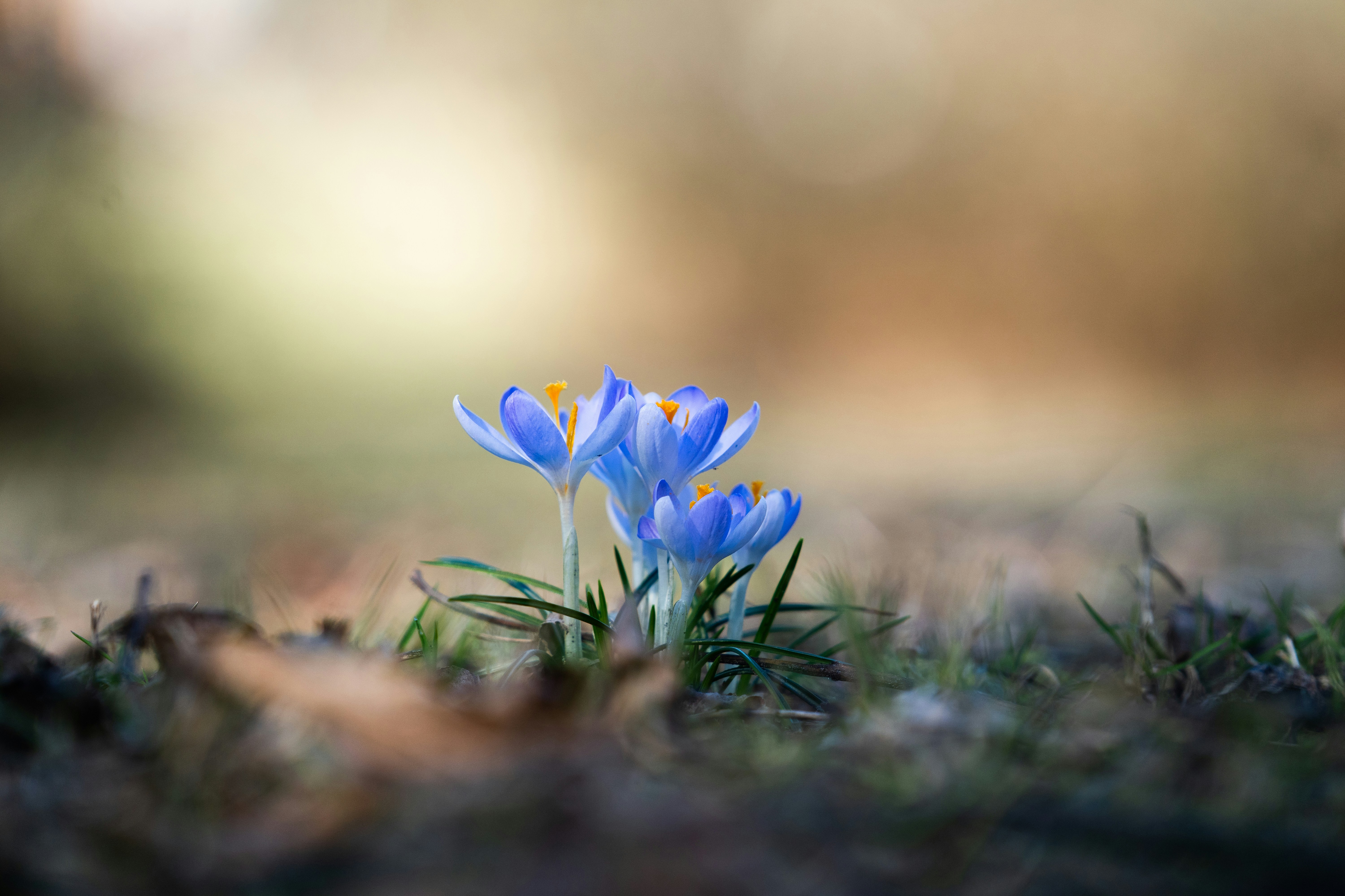 Economical Laser Vision Correction: How To Locate The Right Lasik Specialist Without Overpaying
