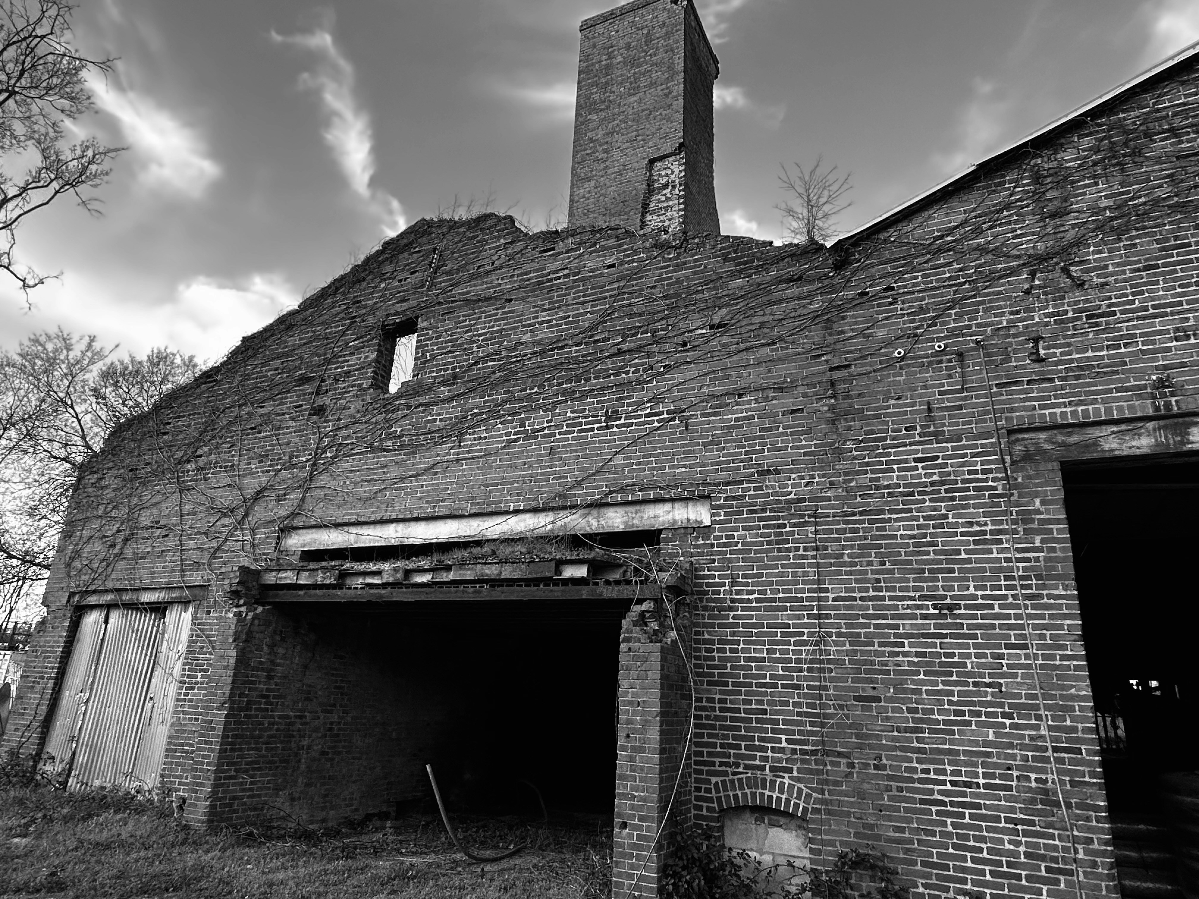 Photo by kauffmansadventures