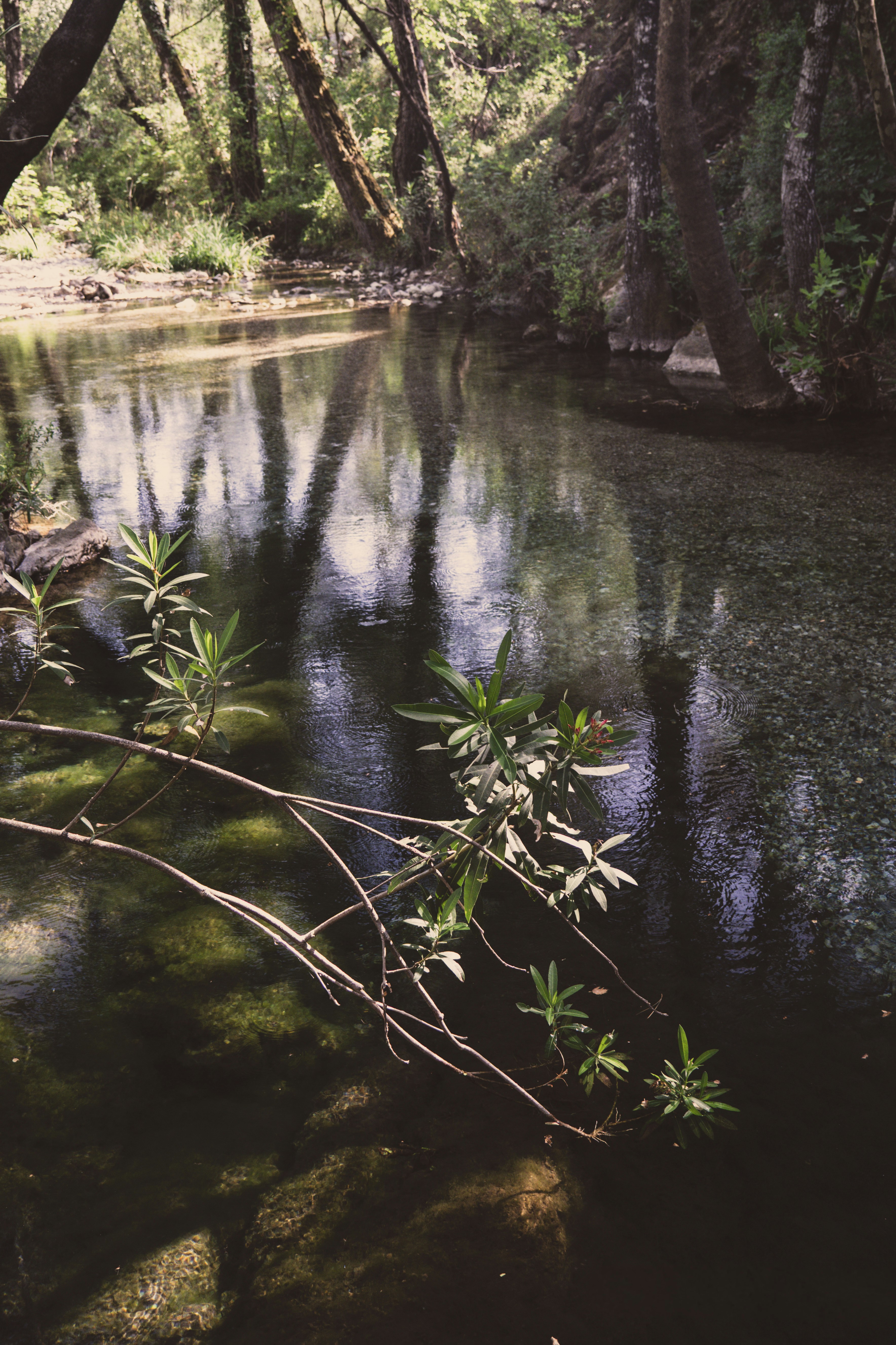 Photo by oldsoulframes