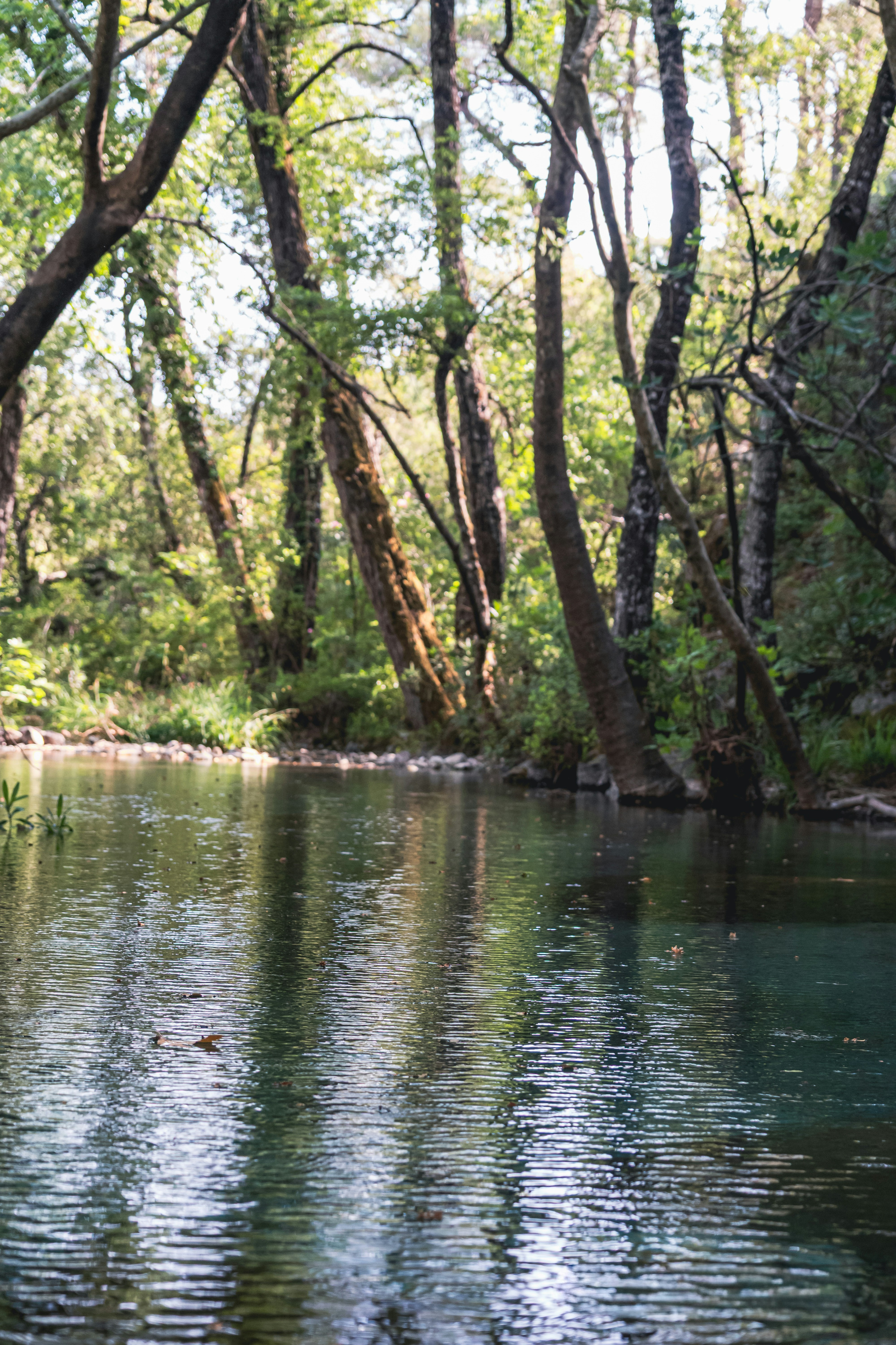 Photo by oldsoulframes