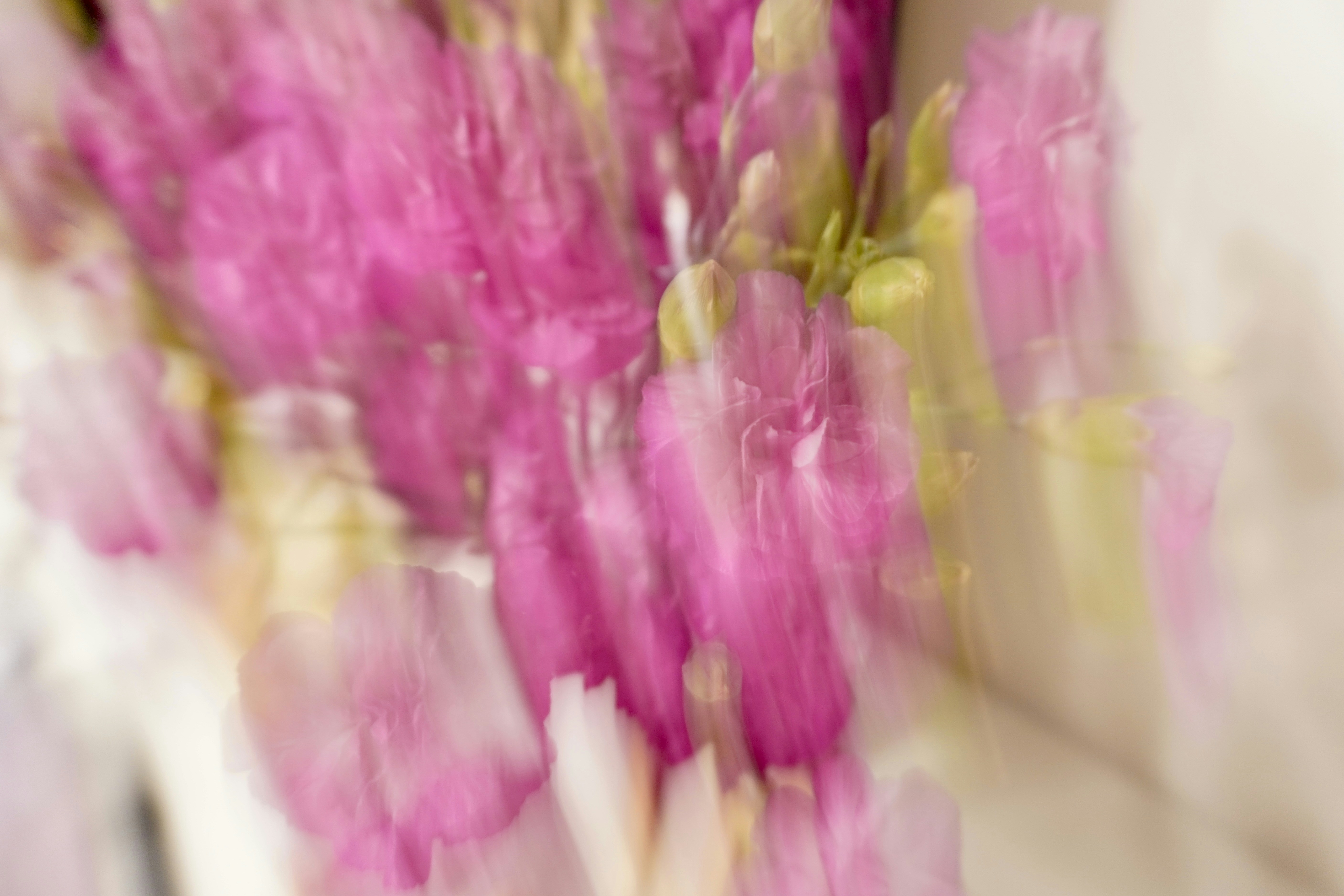 Photo by aliona_zahrai