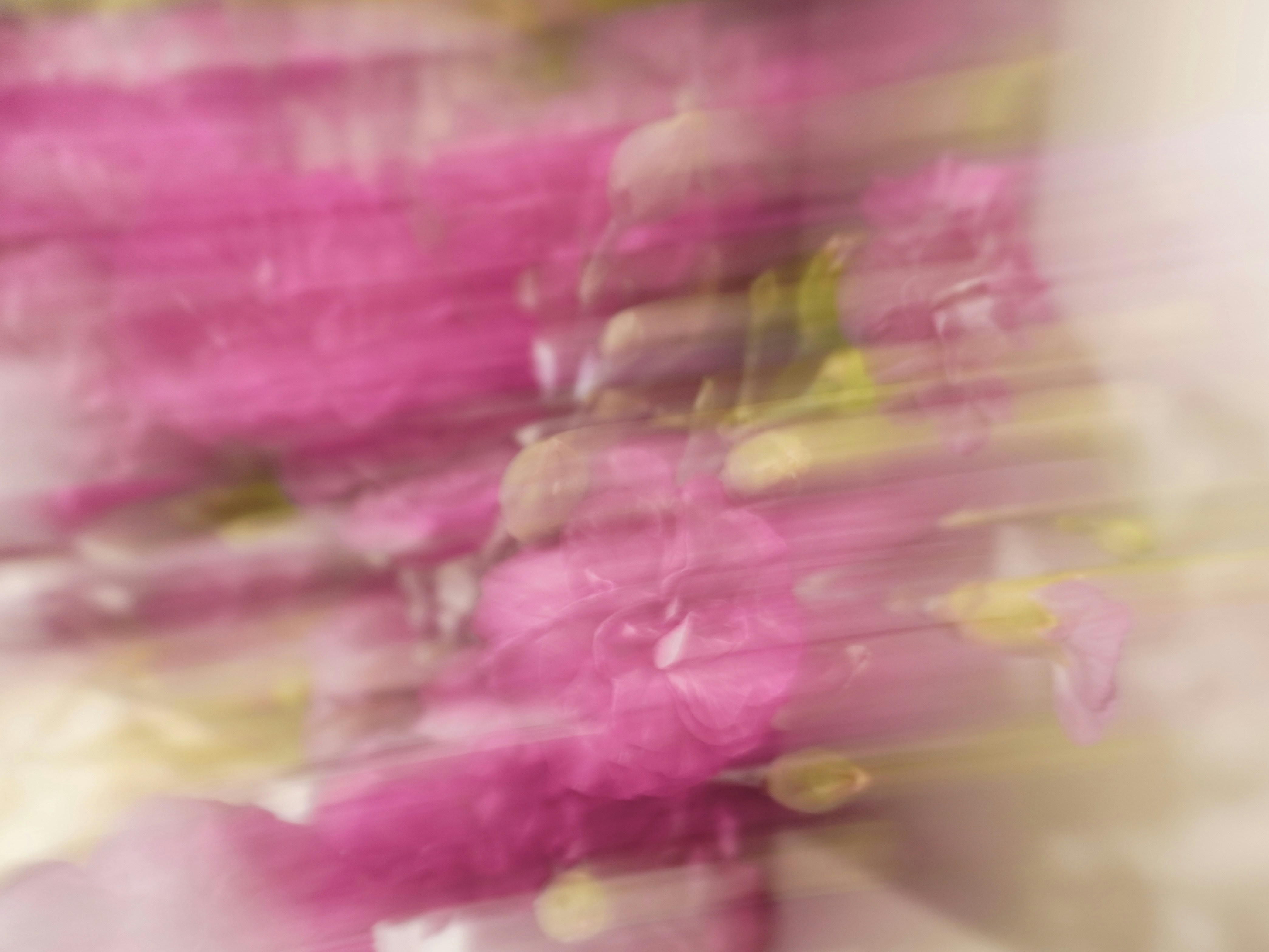 Photo by aliona_zahrai