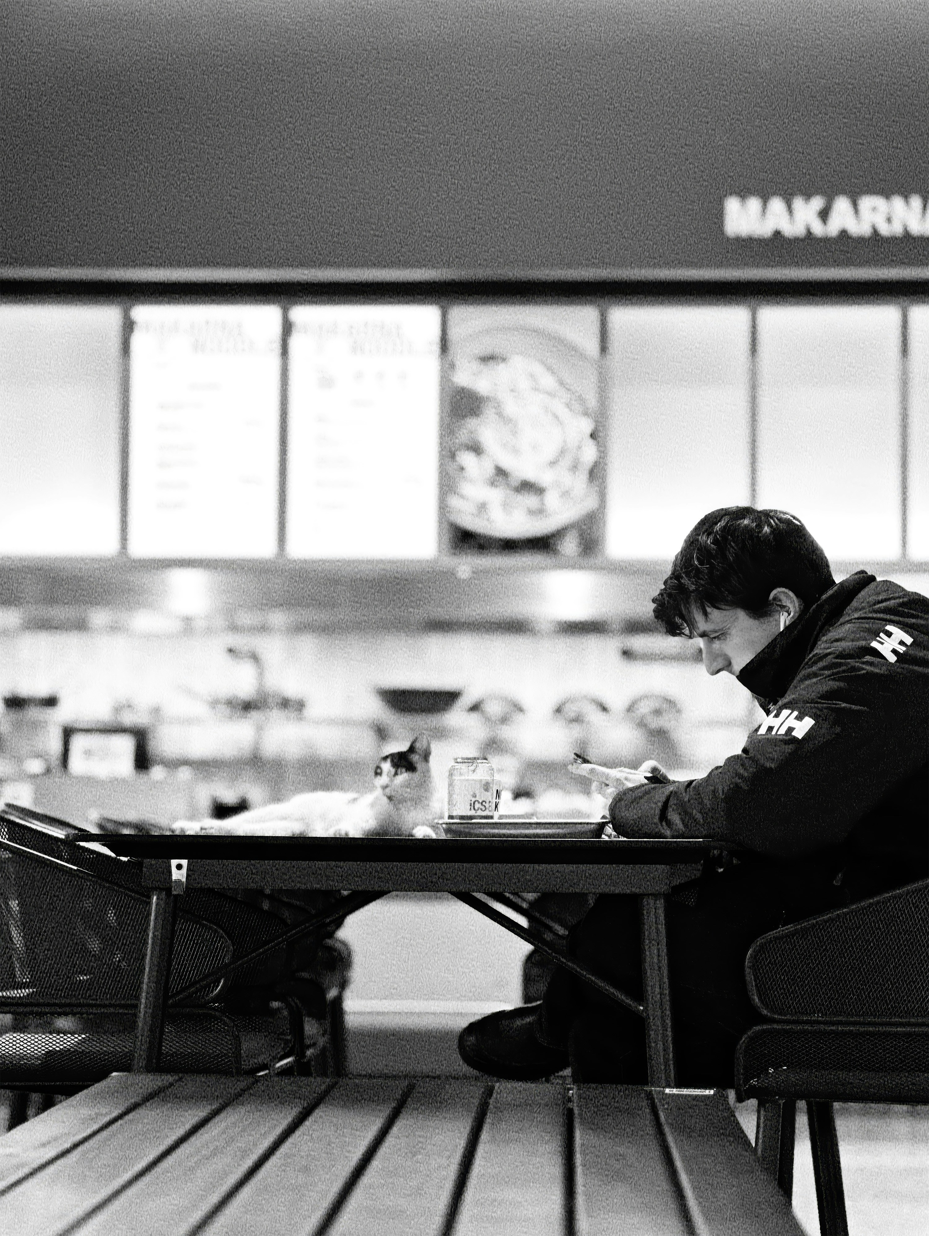 Man and cat at a table in a cafe.