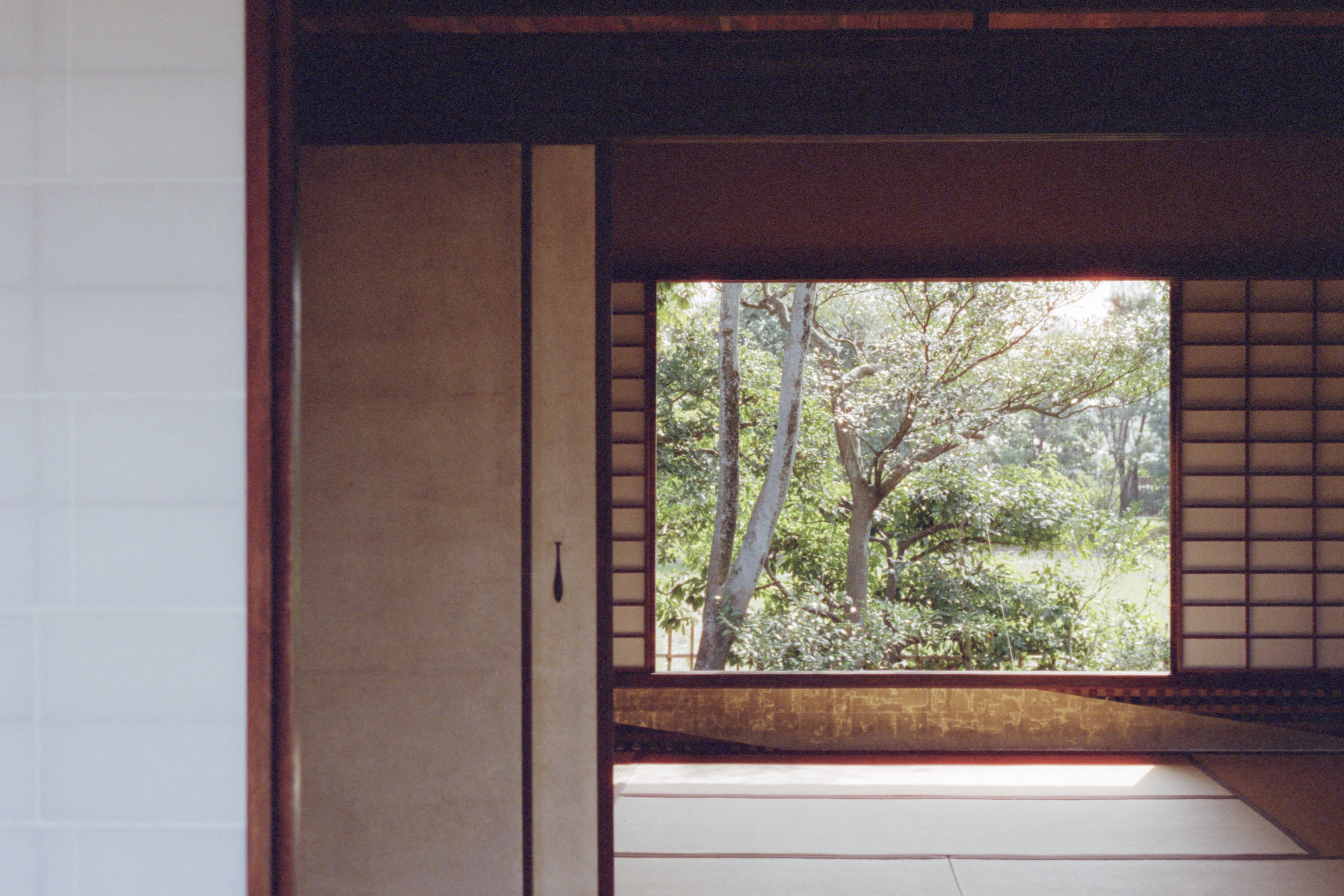 A traditional Japanese tatami room with open shoji windows onto a green garden, Kyoto