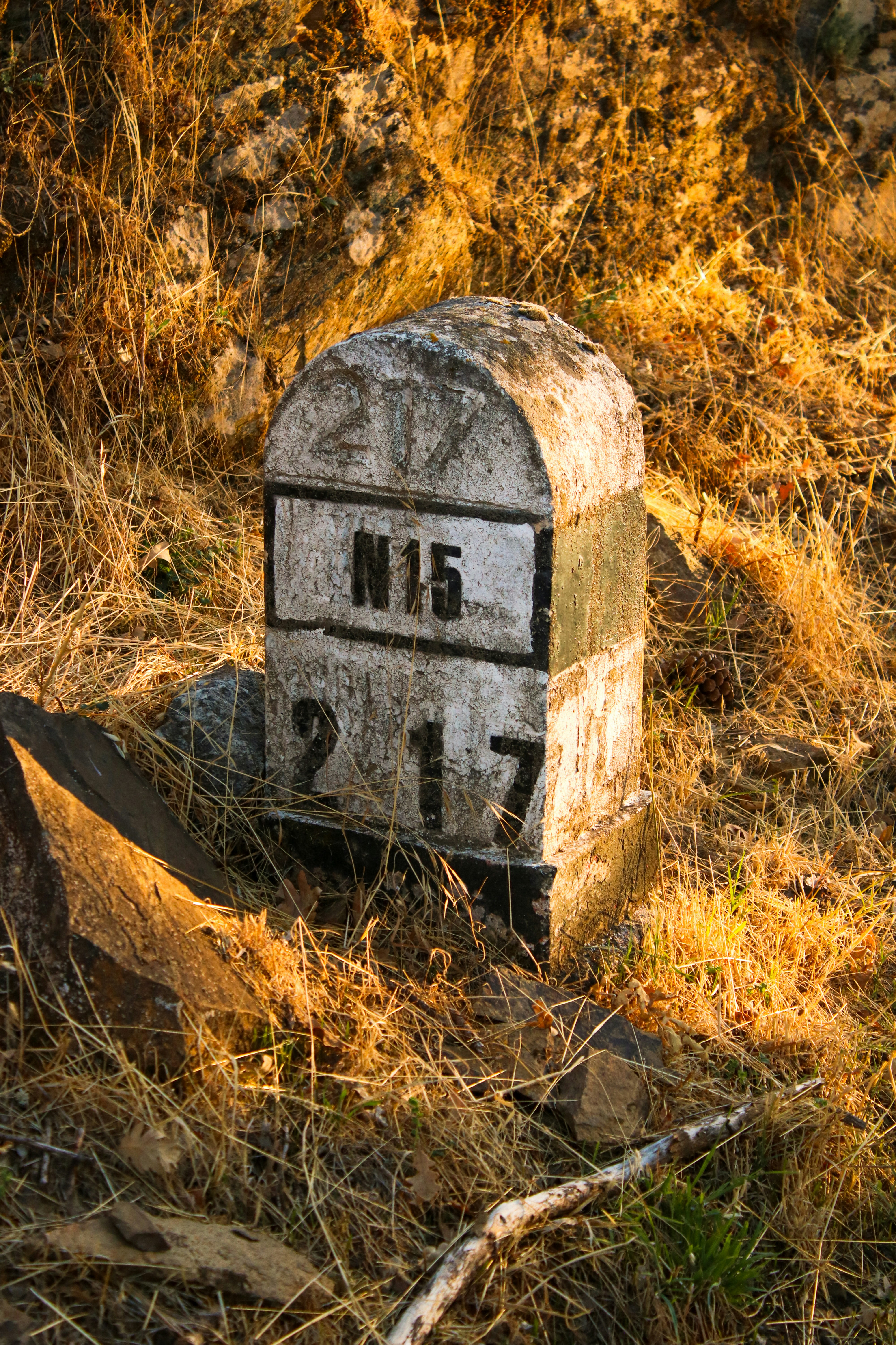 Photo by touroflexivo