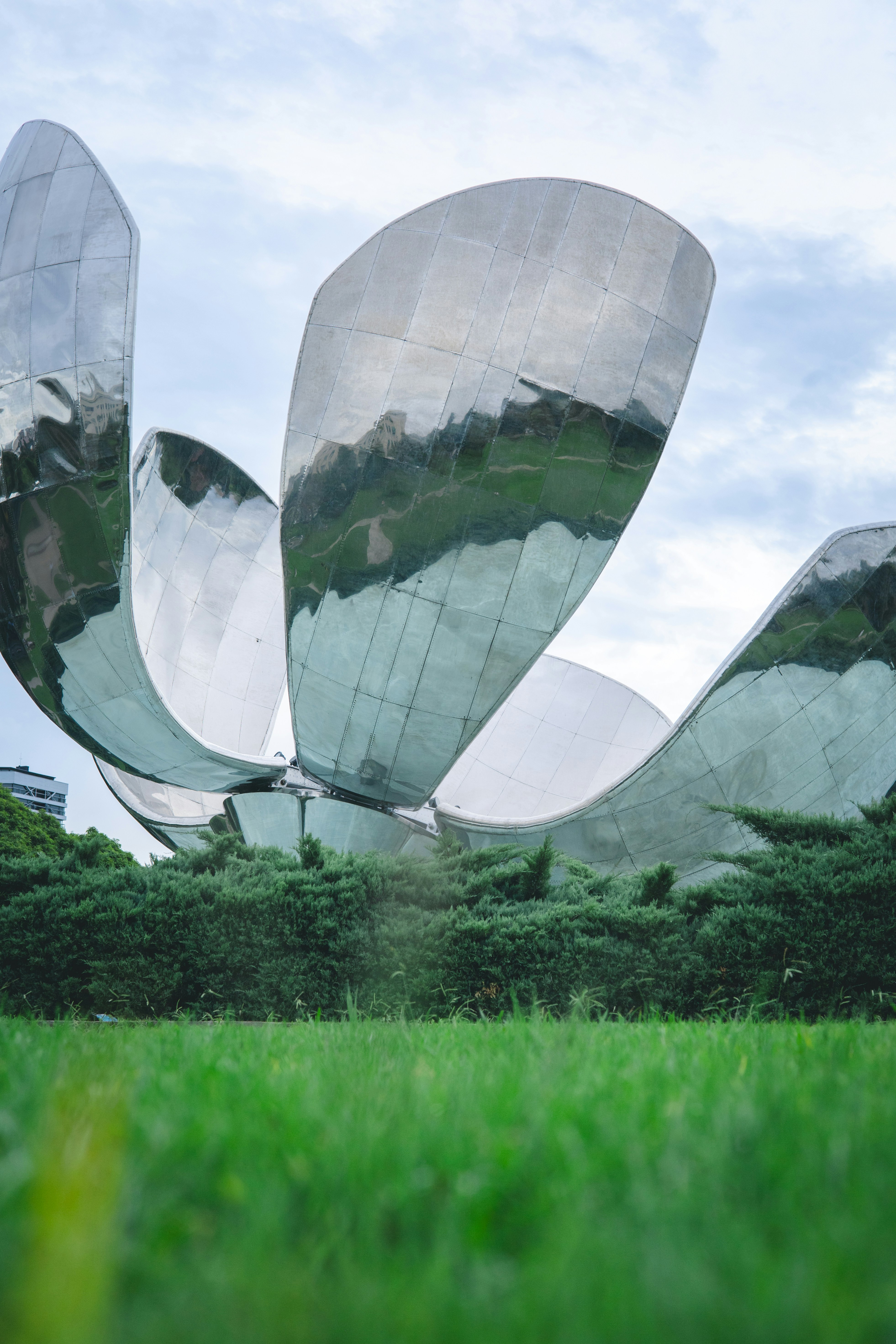 landscaping installation