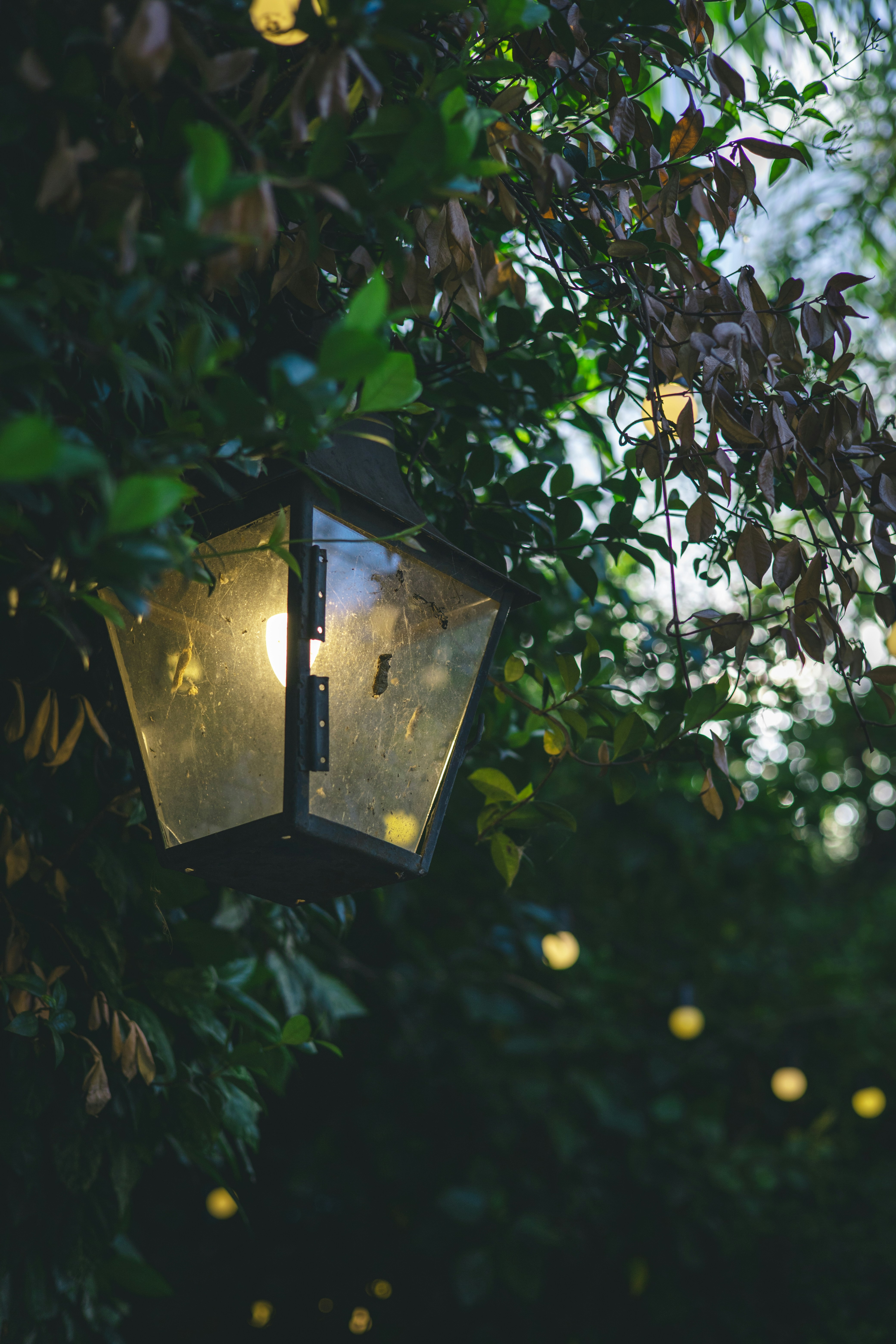 Photo by rrodriguesim