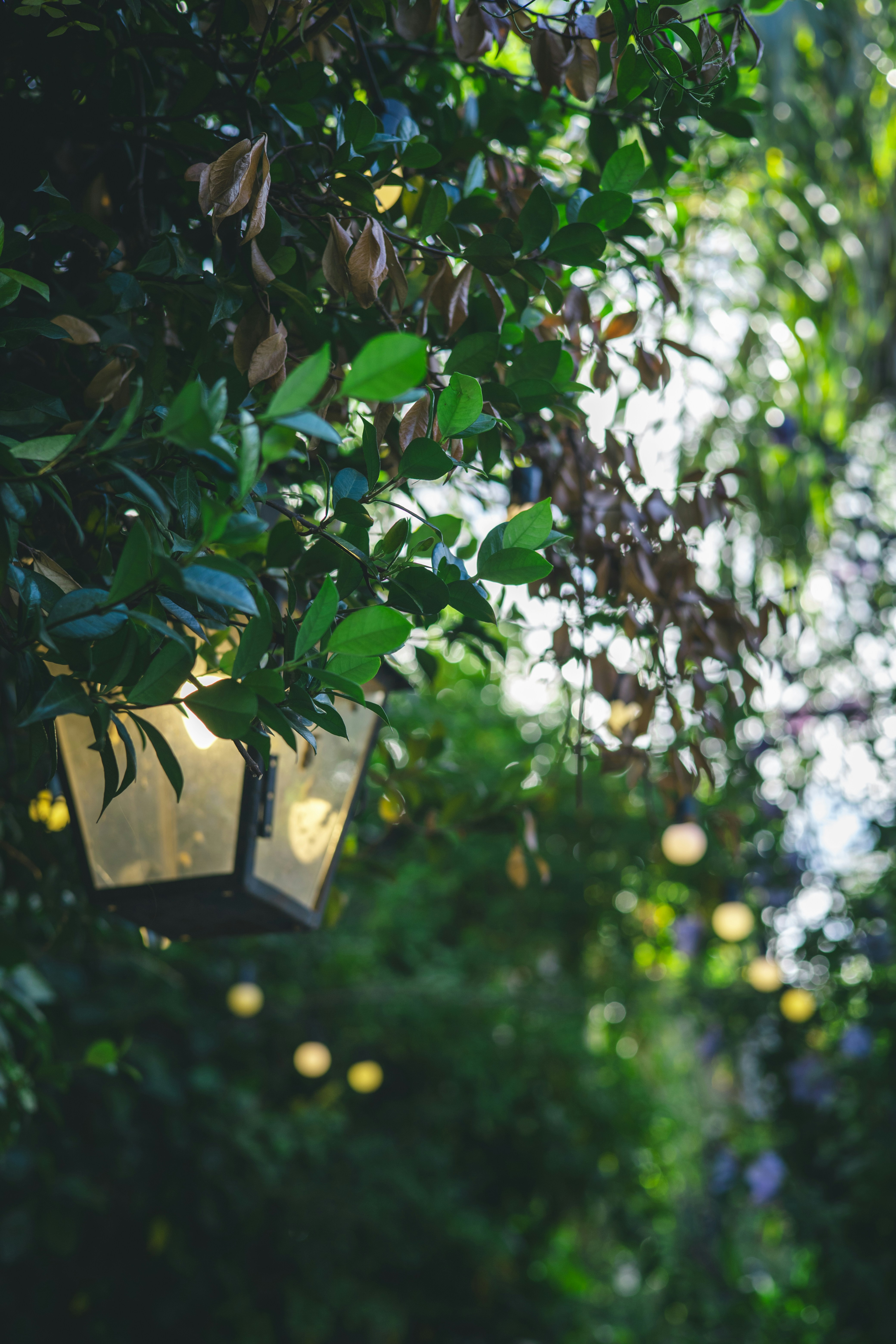 Photo by rrodriguesim