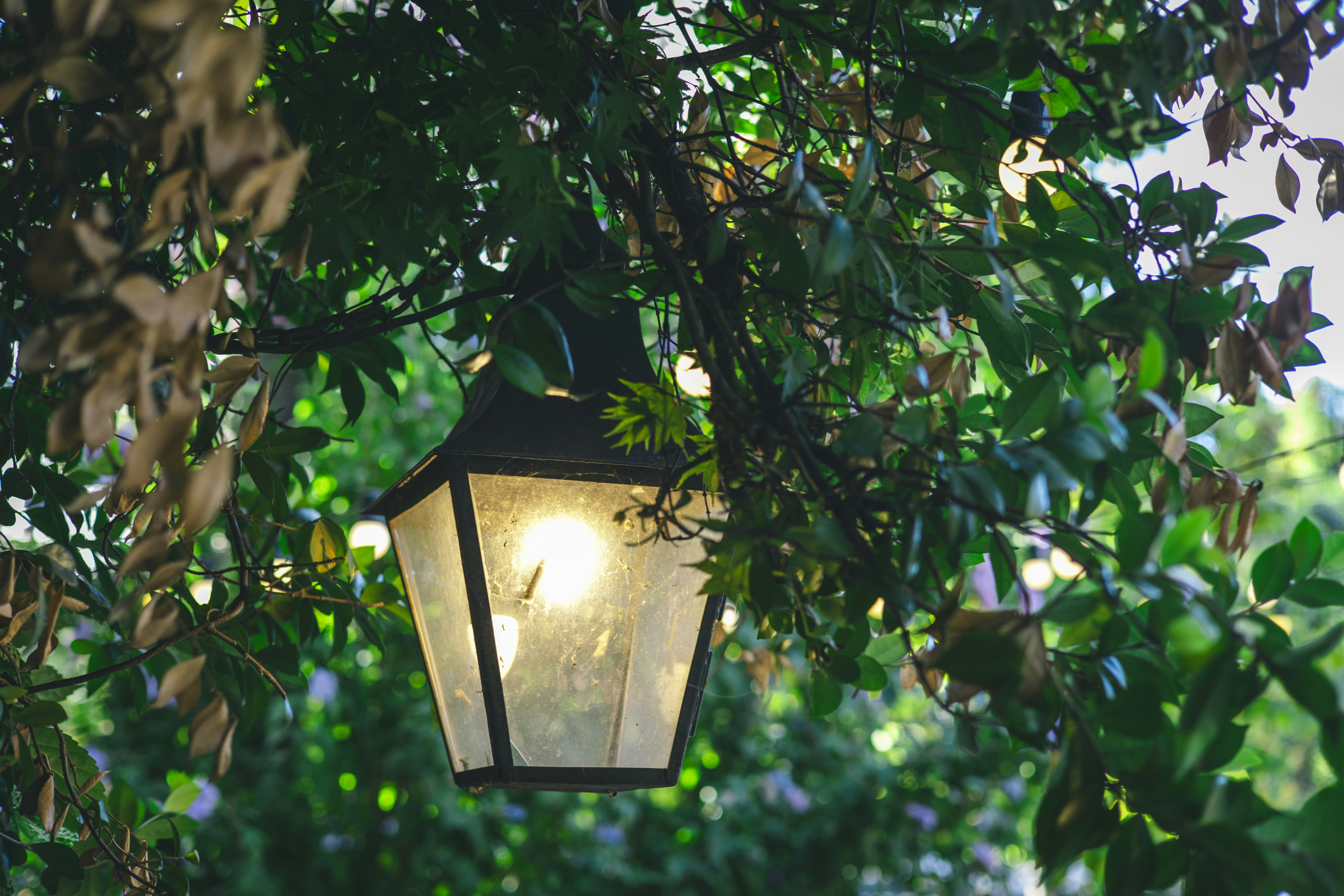 Photo by rrodriguesim