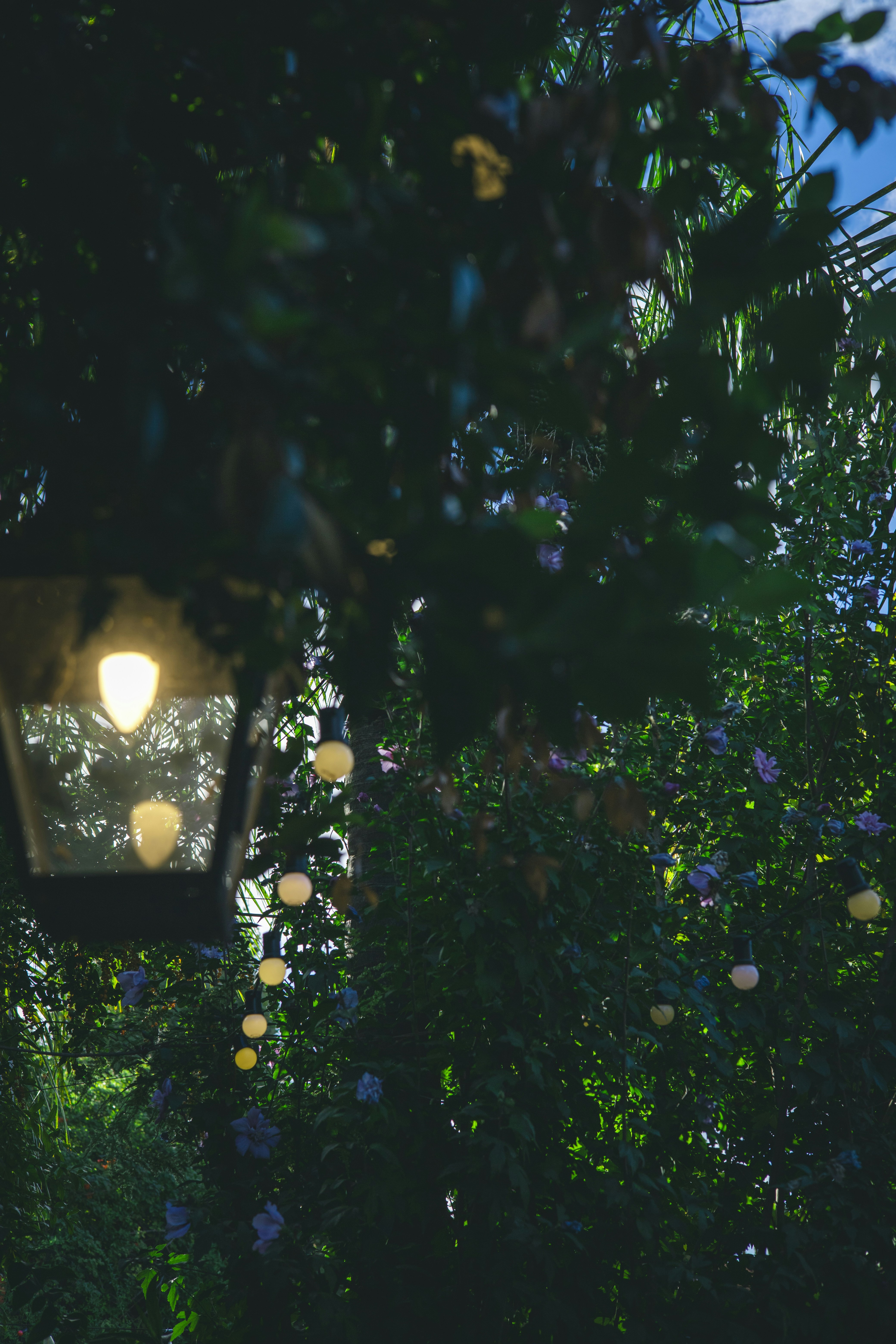 Photo by rrodriguesim