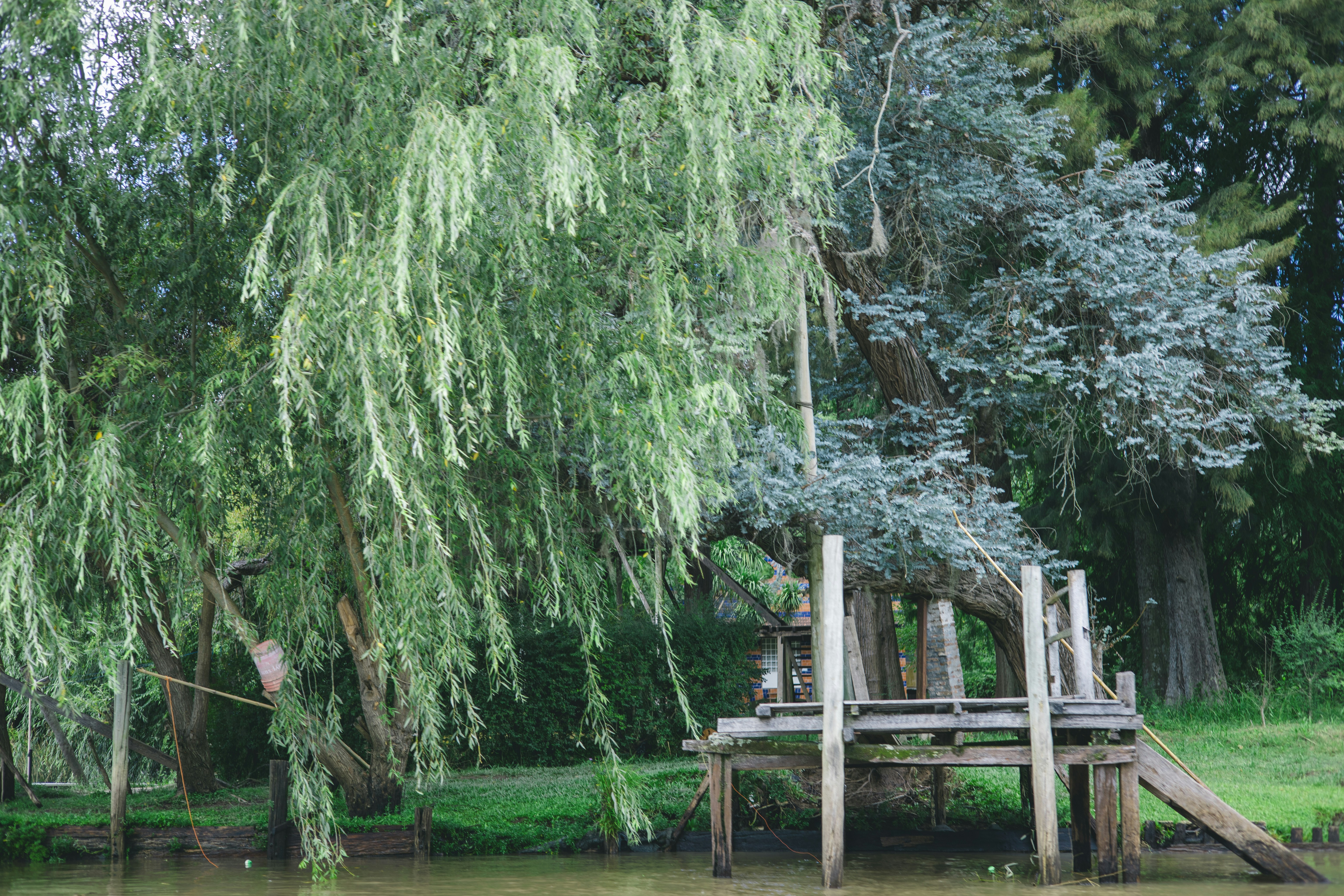 Photo by rrodriguesim