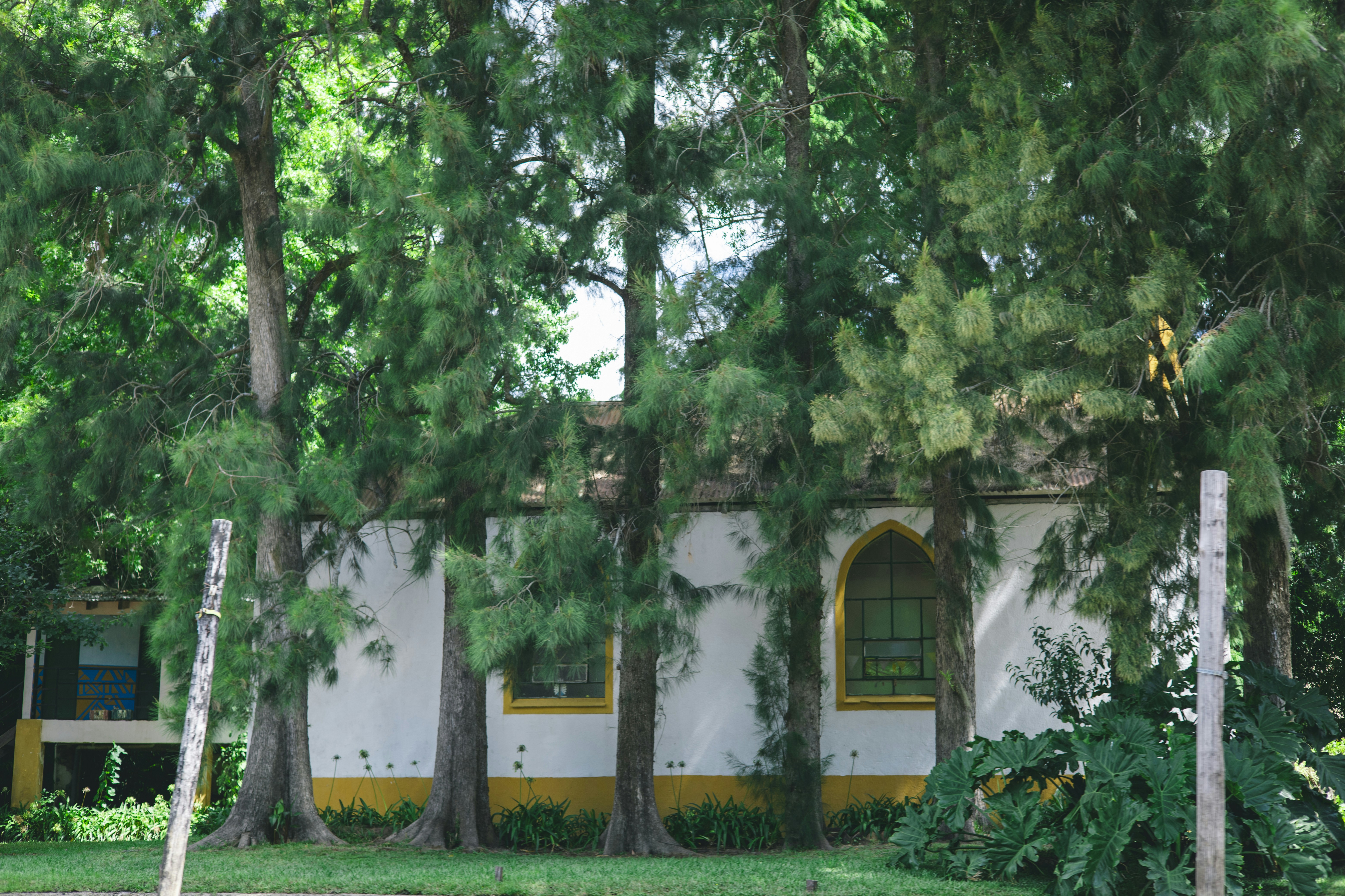 Photo by rrodriguesim