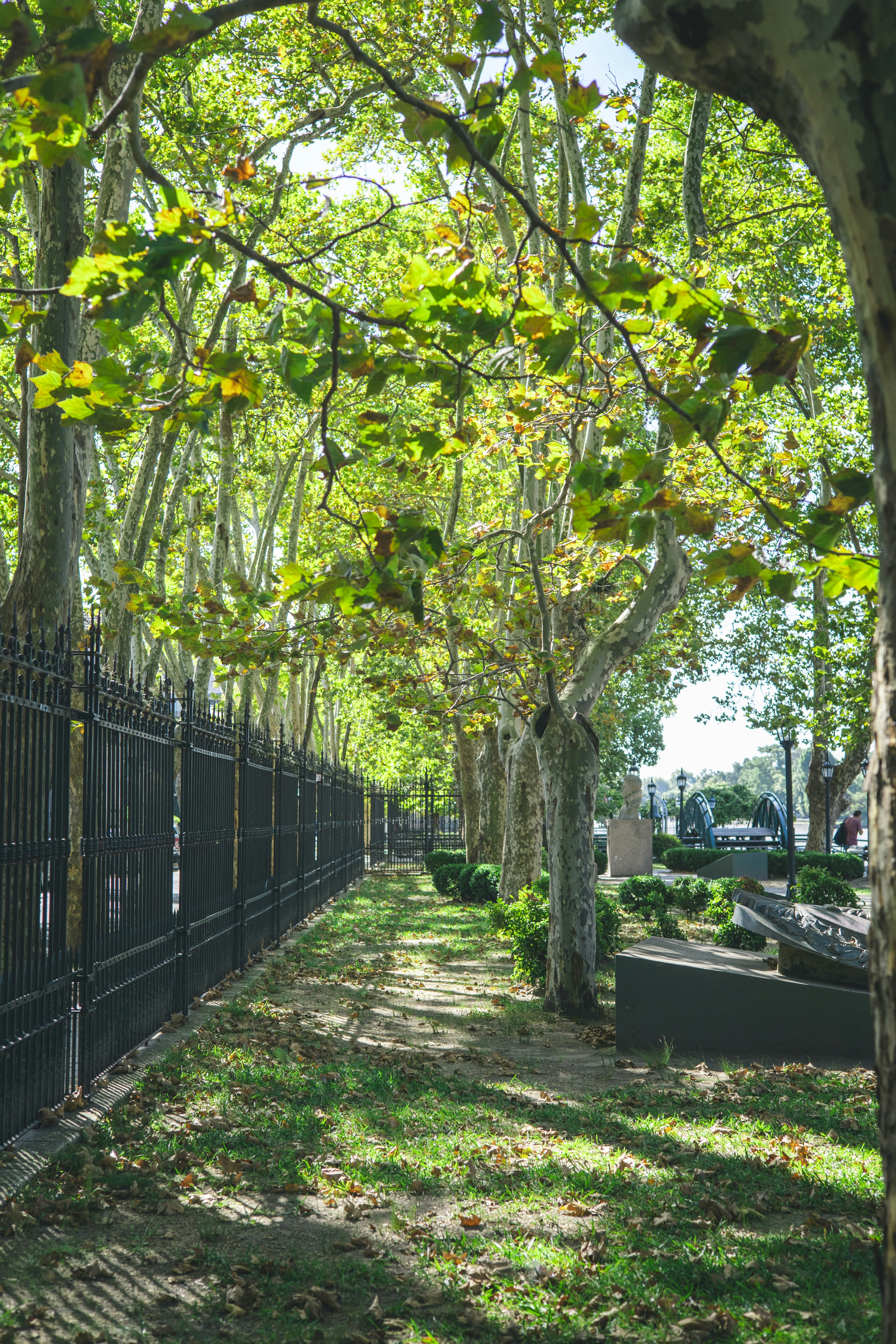 Photo by rrodriguesim