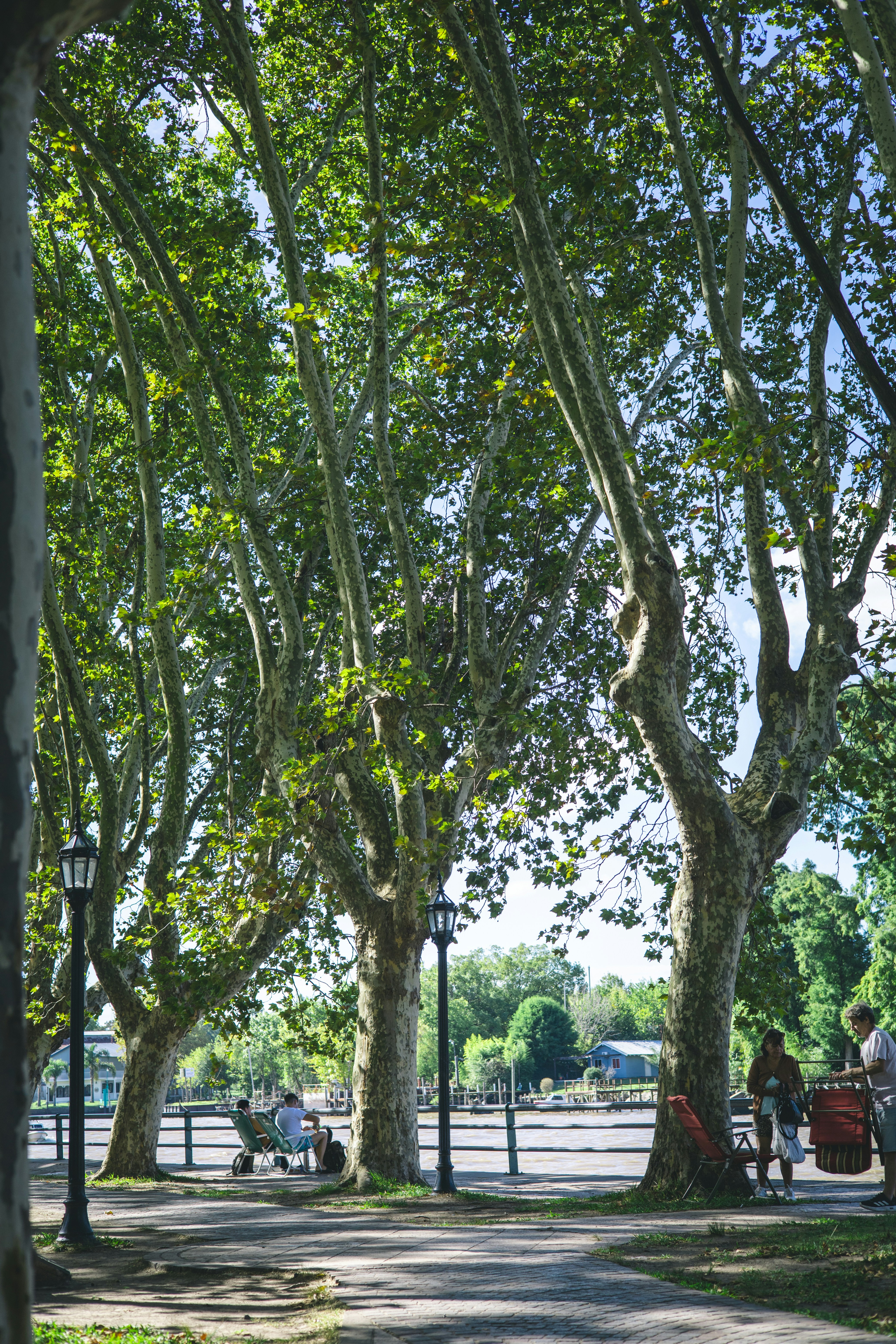 Photo by rrodriguesim