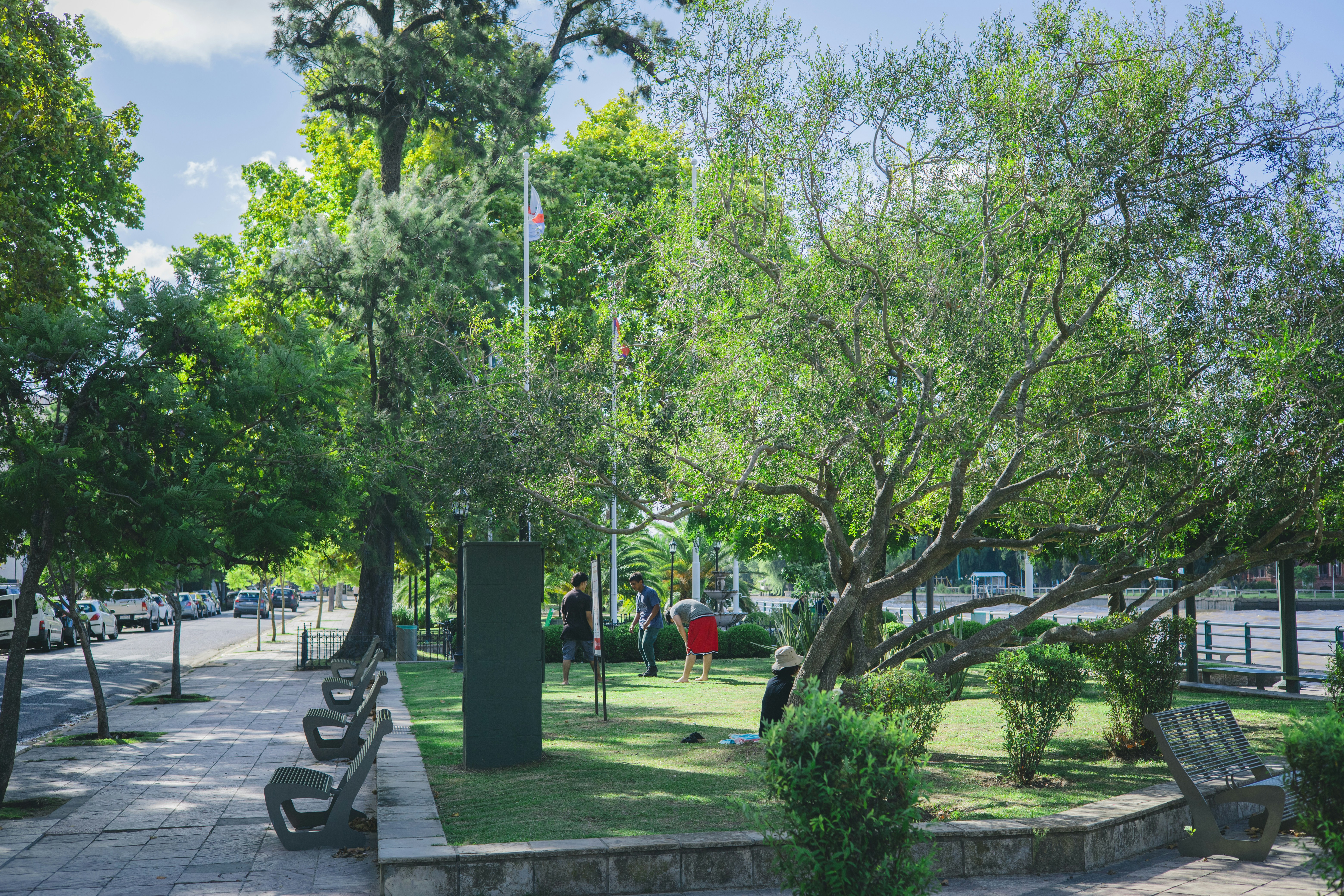 Gente disfrutando de un día soleado en un parque