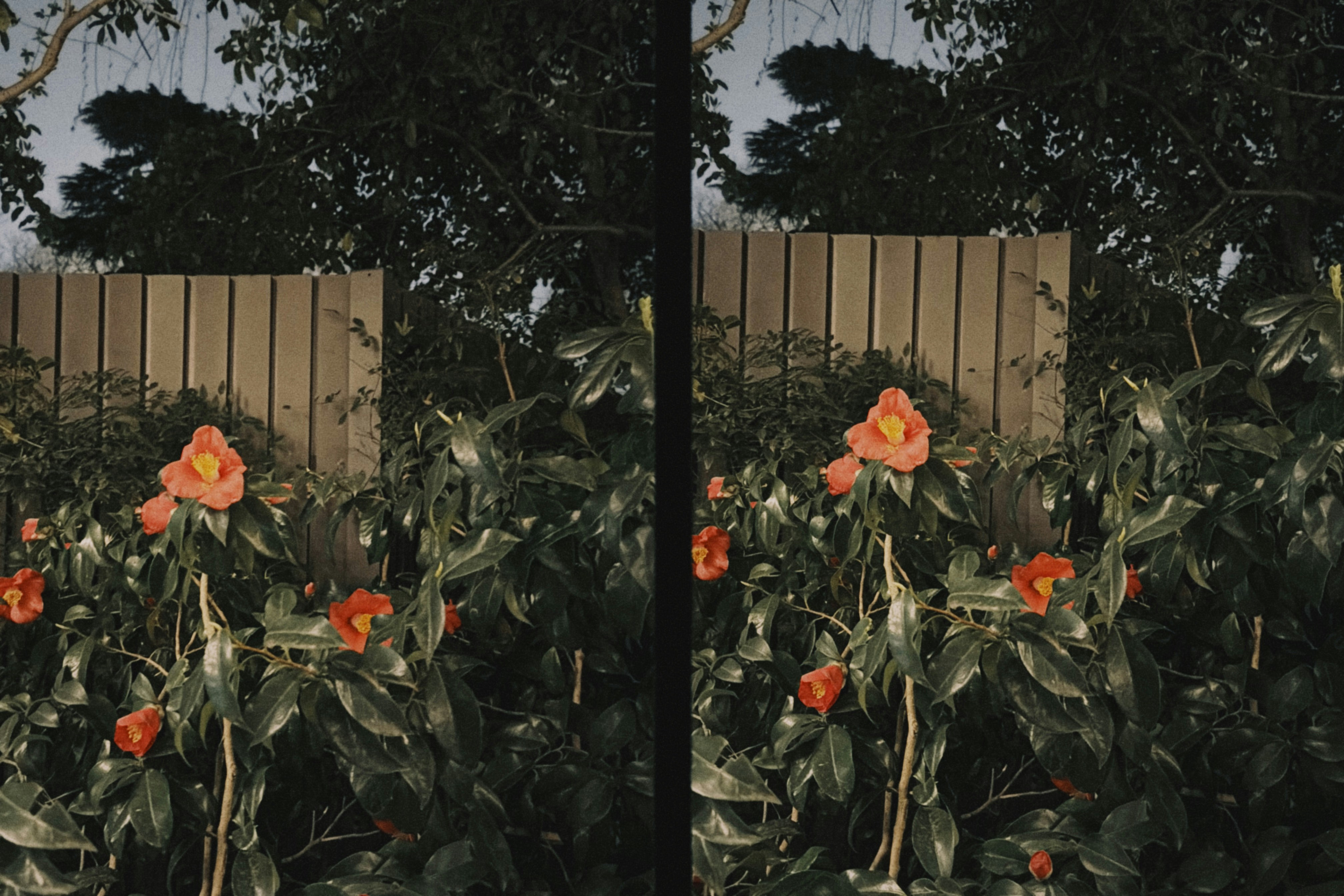 商業靜物拍攝色彩管理指南：從燈光到螢幕校色，怎麼把商品顏色拍到客戶點頭：下一步行動建議