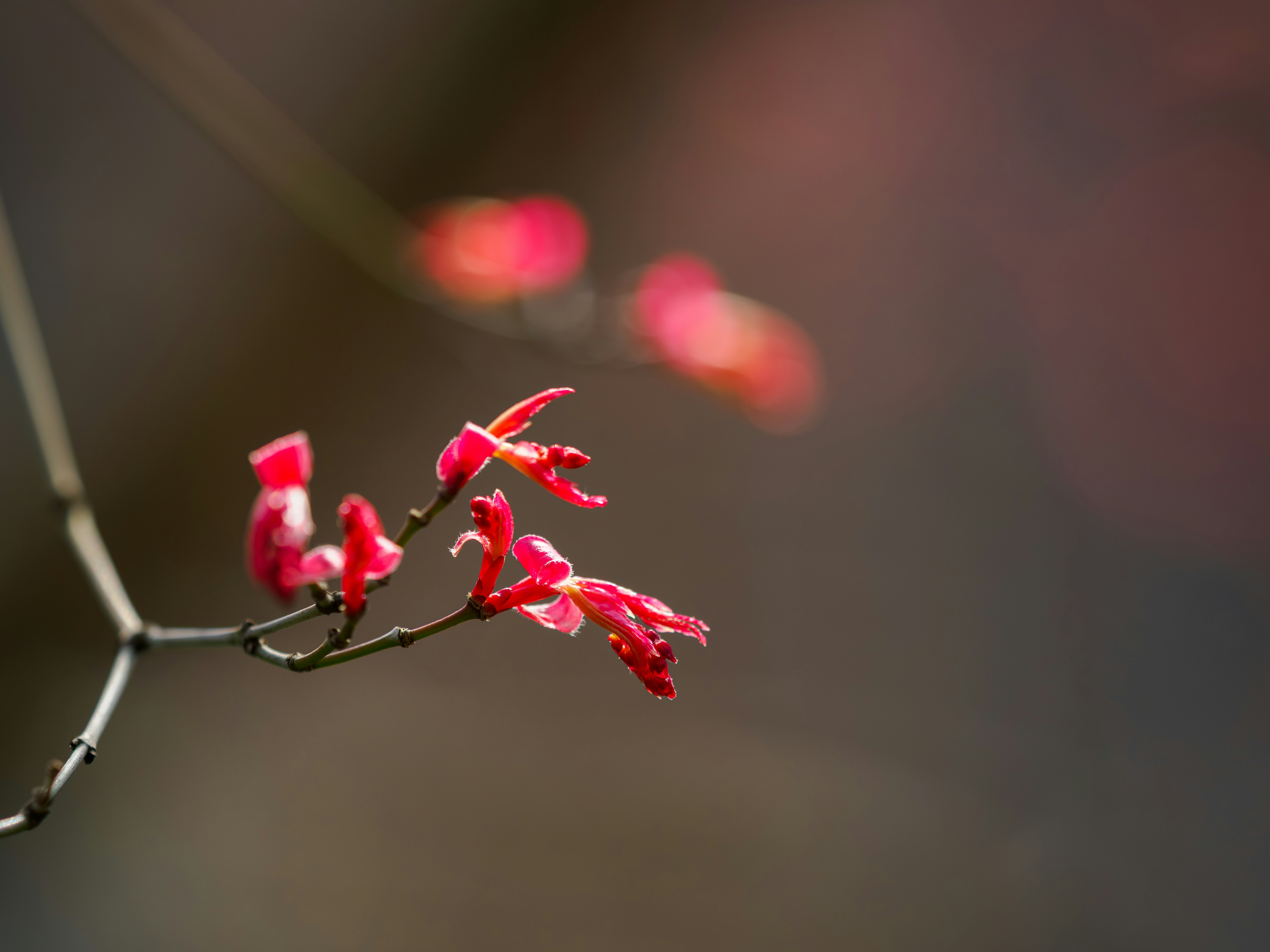 Photo by declansun