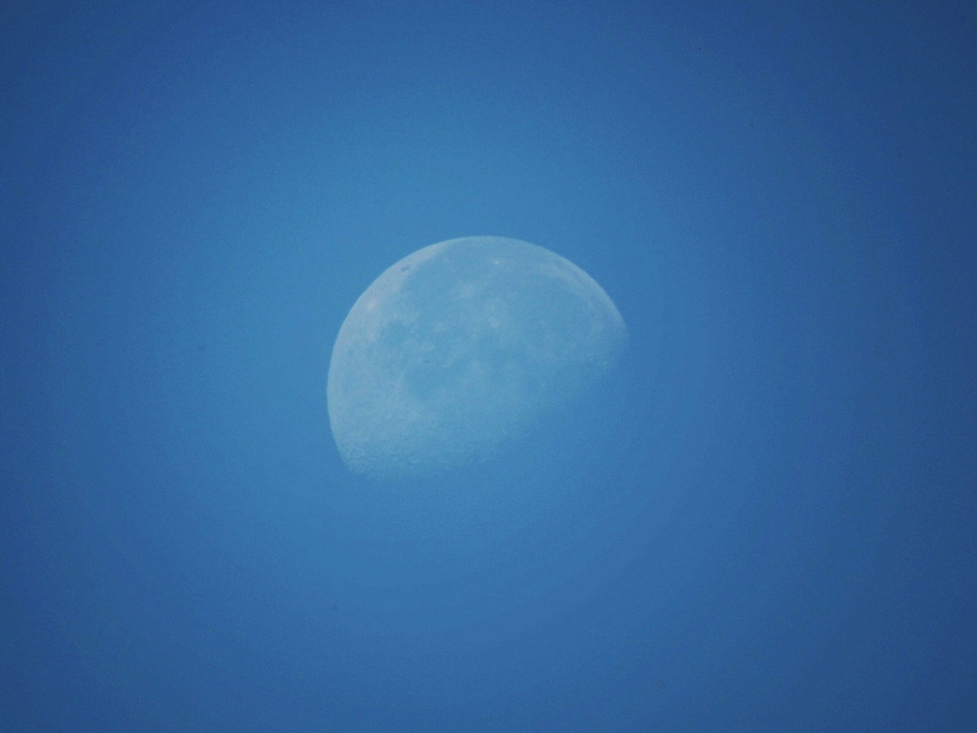 Half moon visible in a clear blue sky