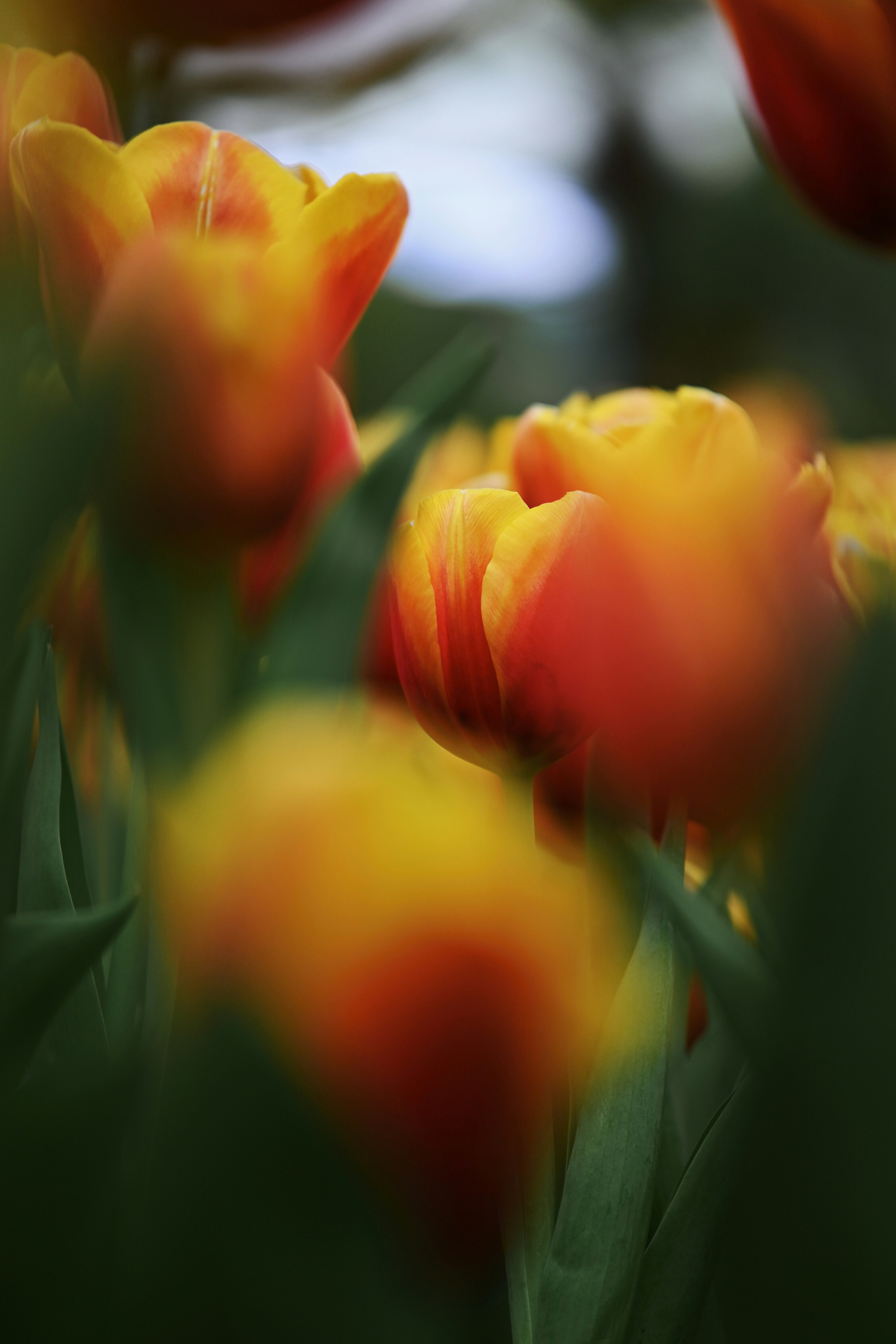 Photo by raidayzhang
