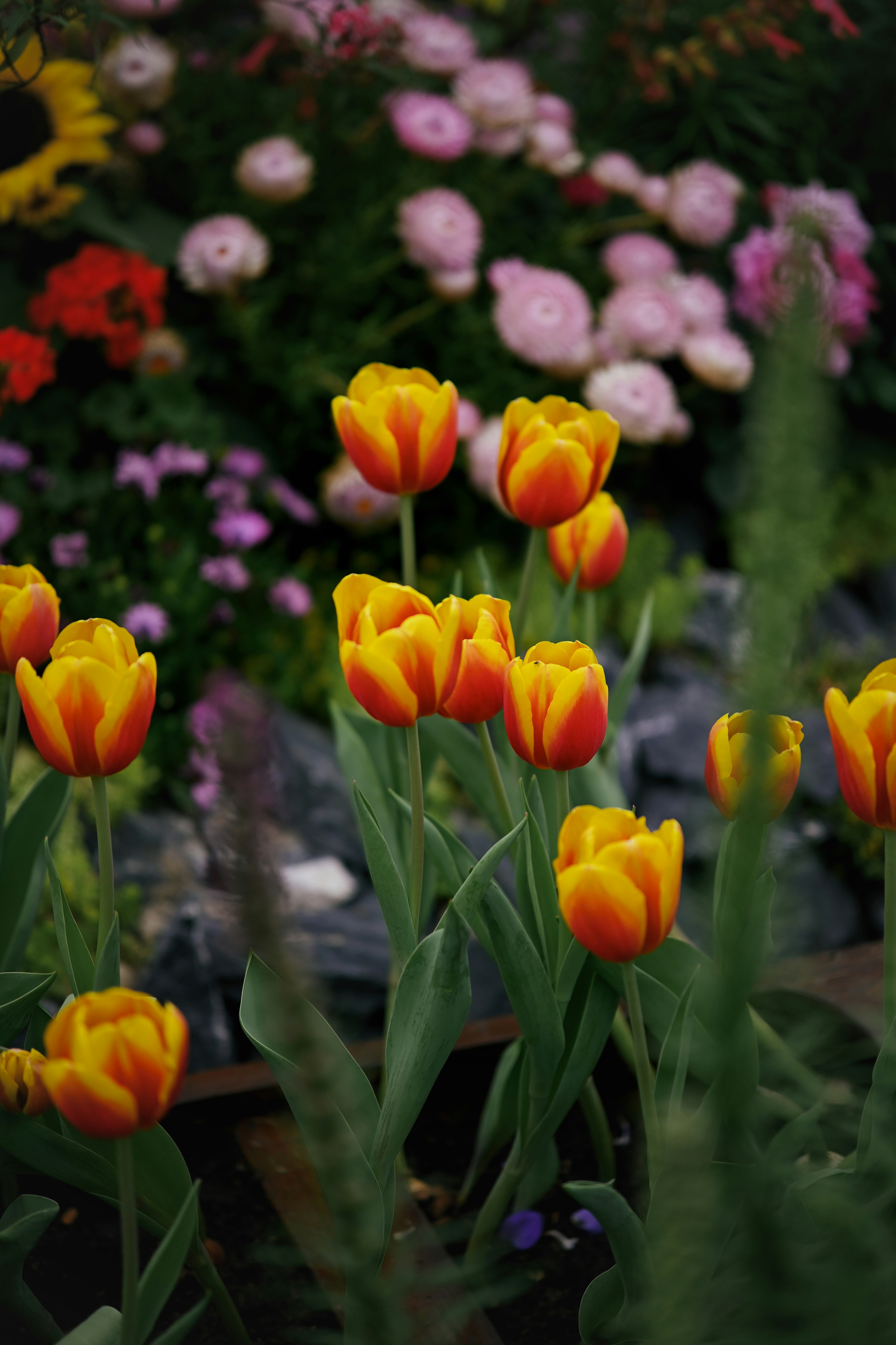 Photo by raidayzhang