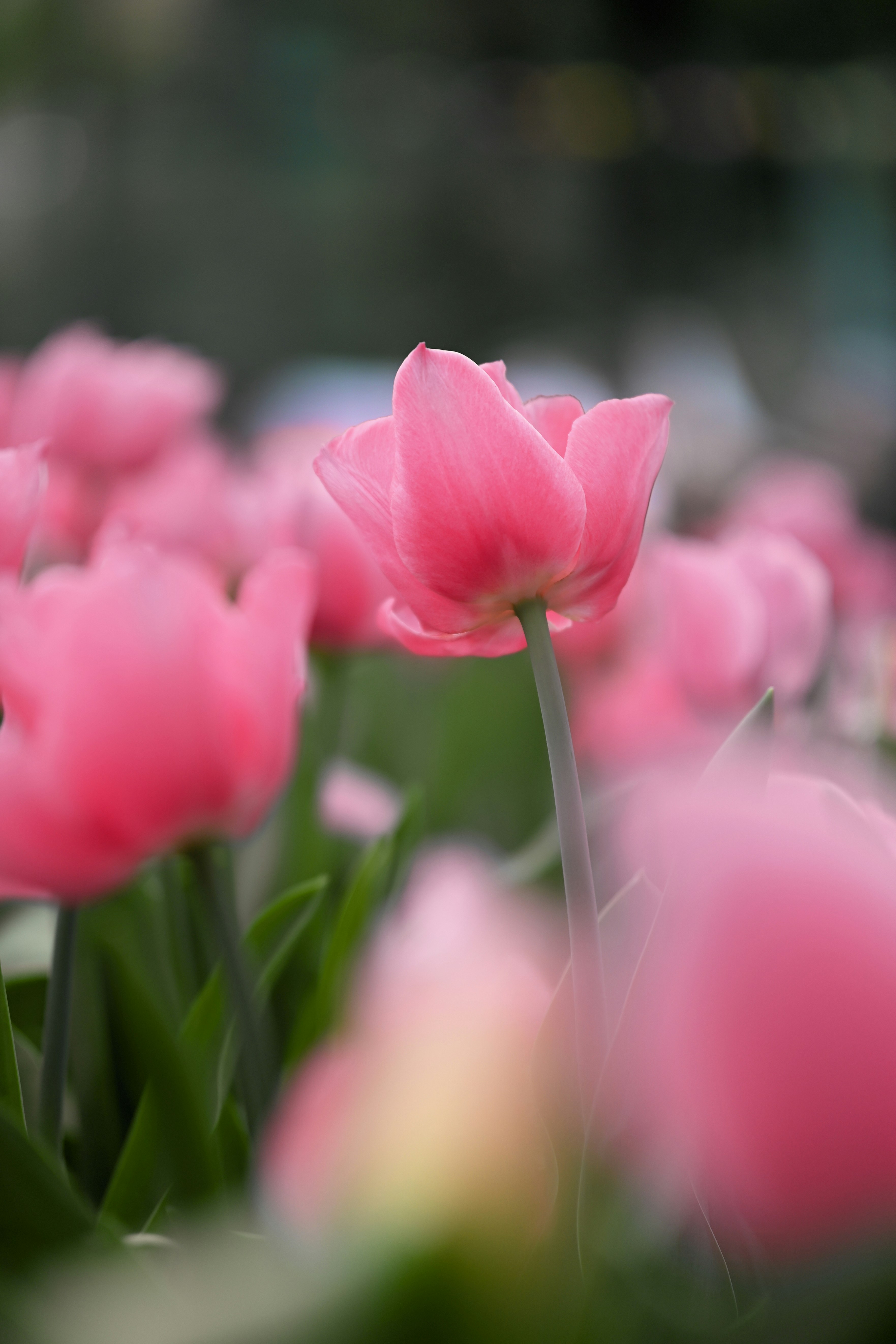 Photo by raidayzhang