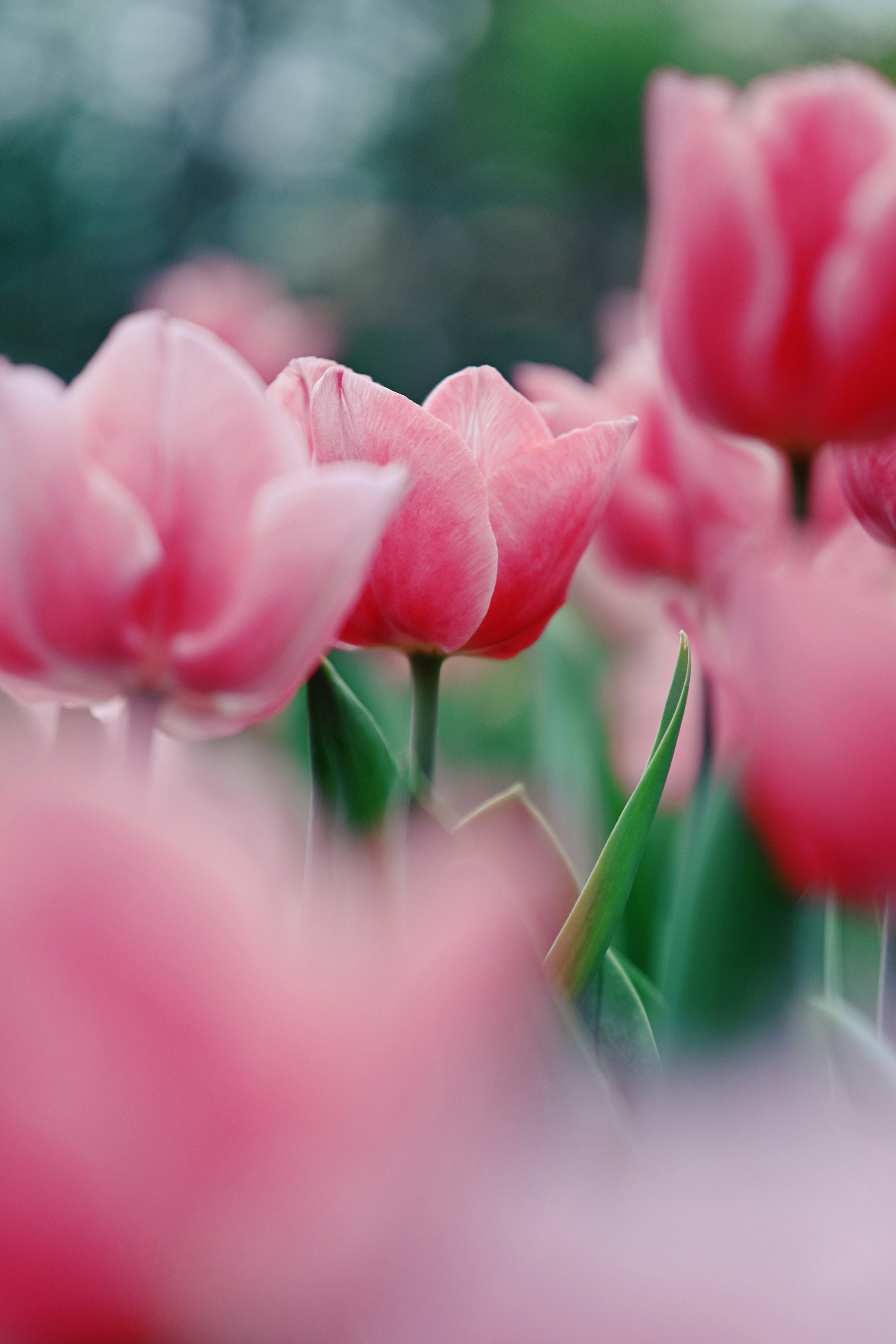 Photo by raidayzhang