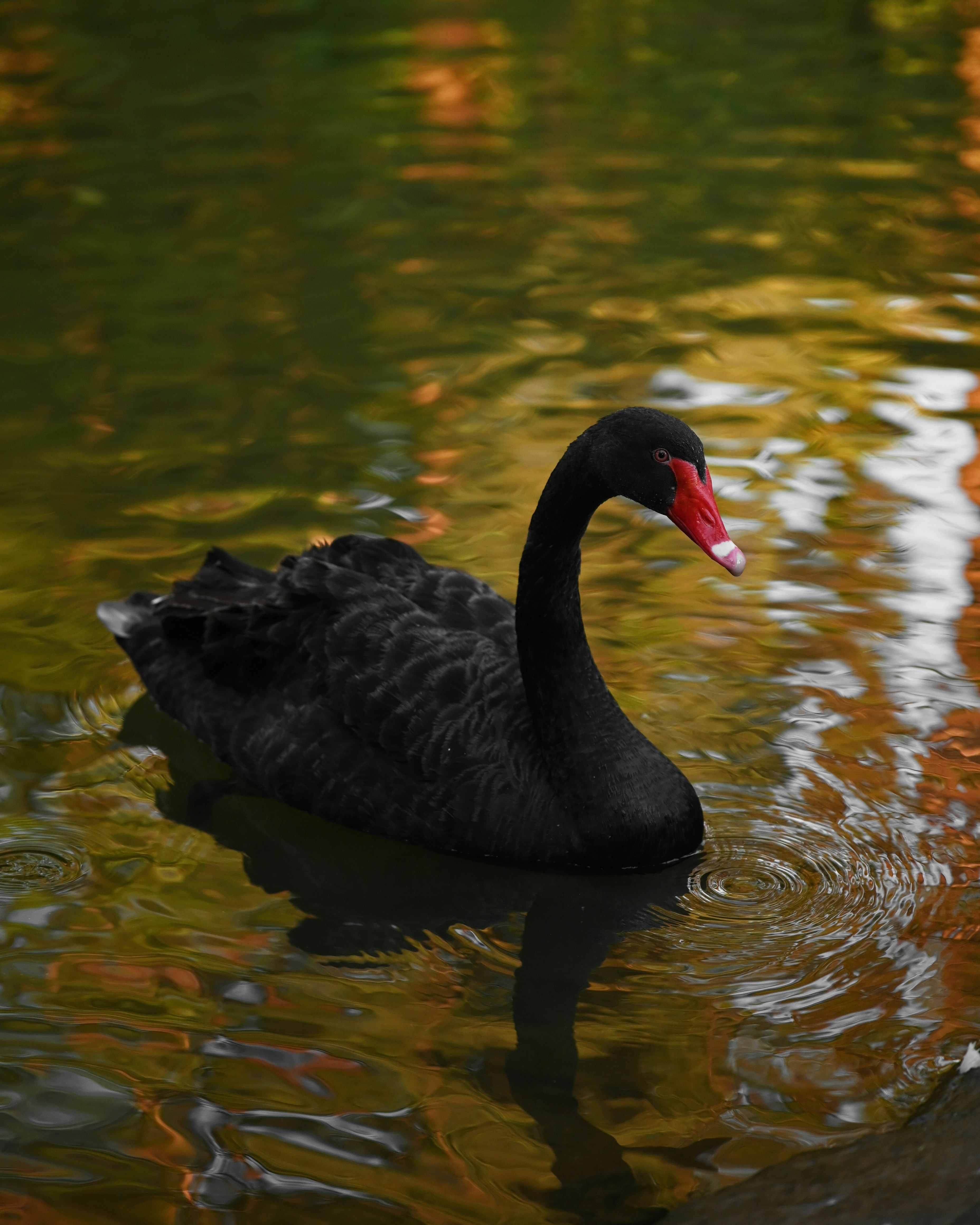 Photo by raidayzhang