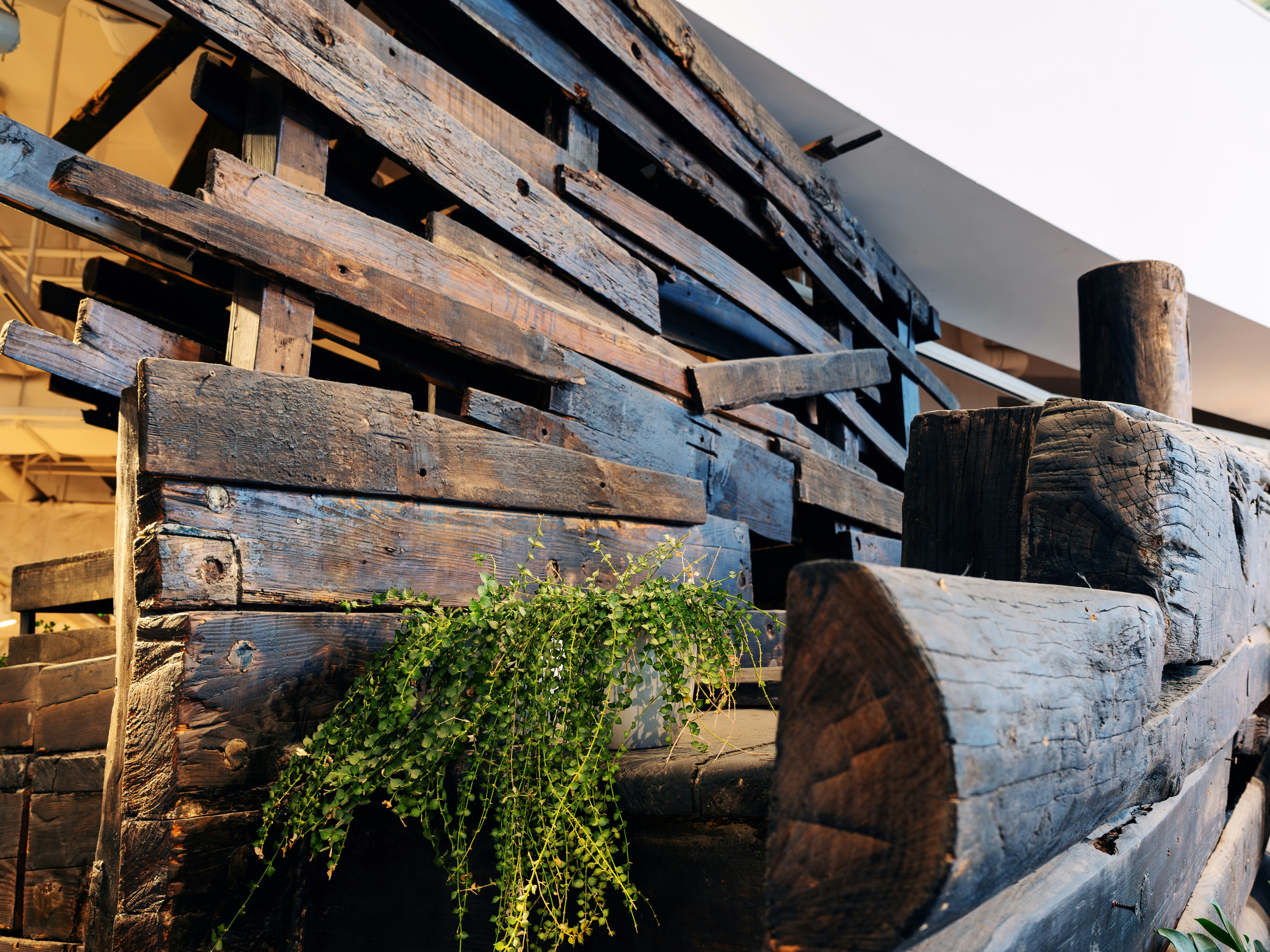 Weathered wooden planks and logs form a rustic structure.