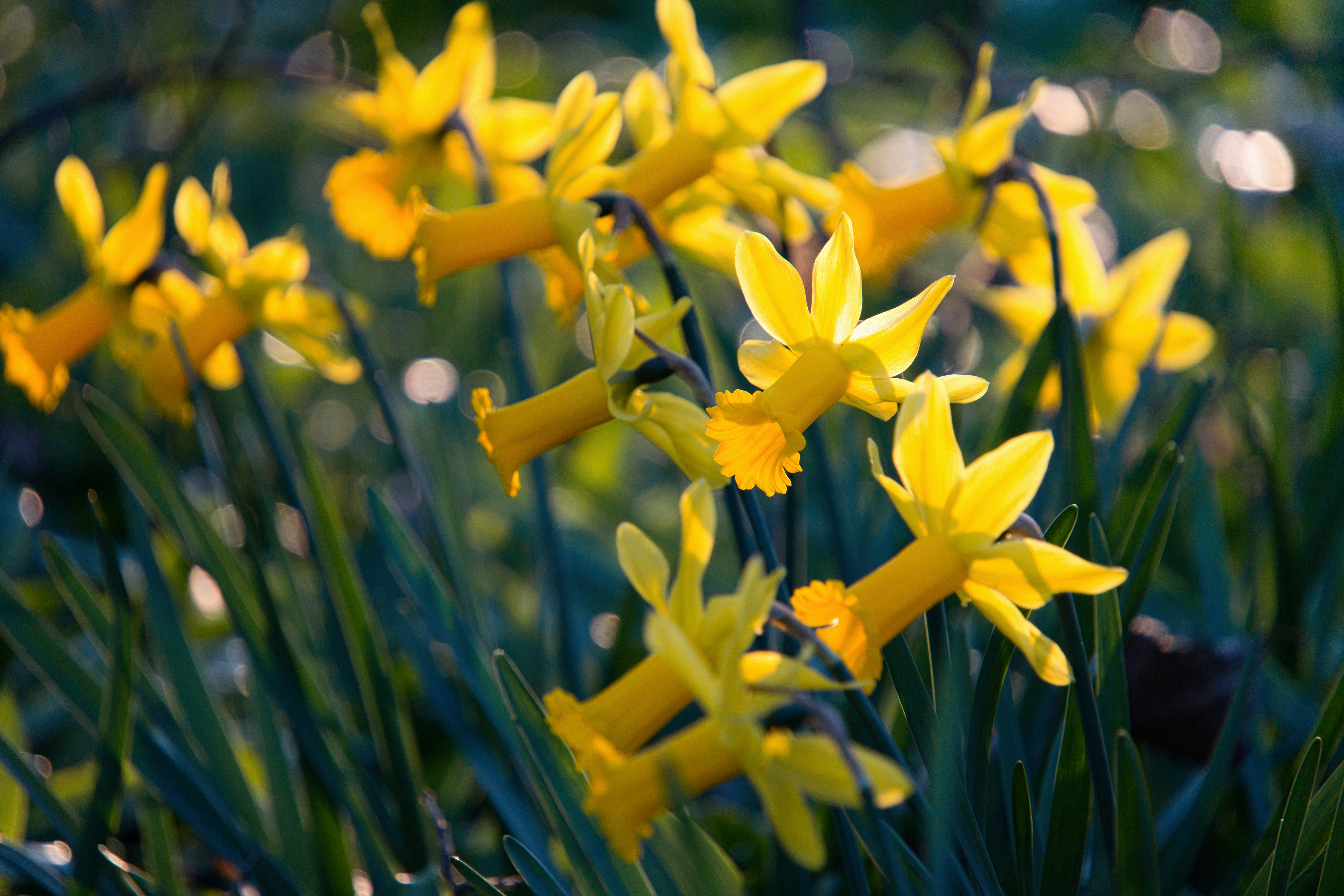 Photo by theskytales