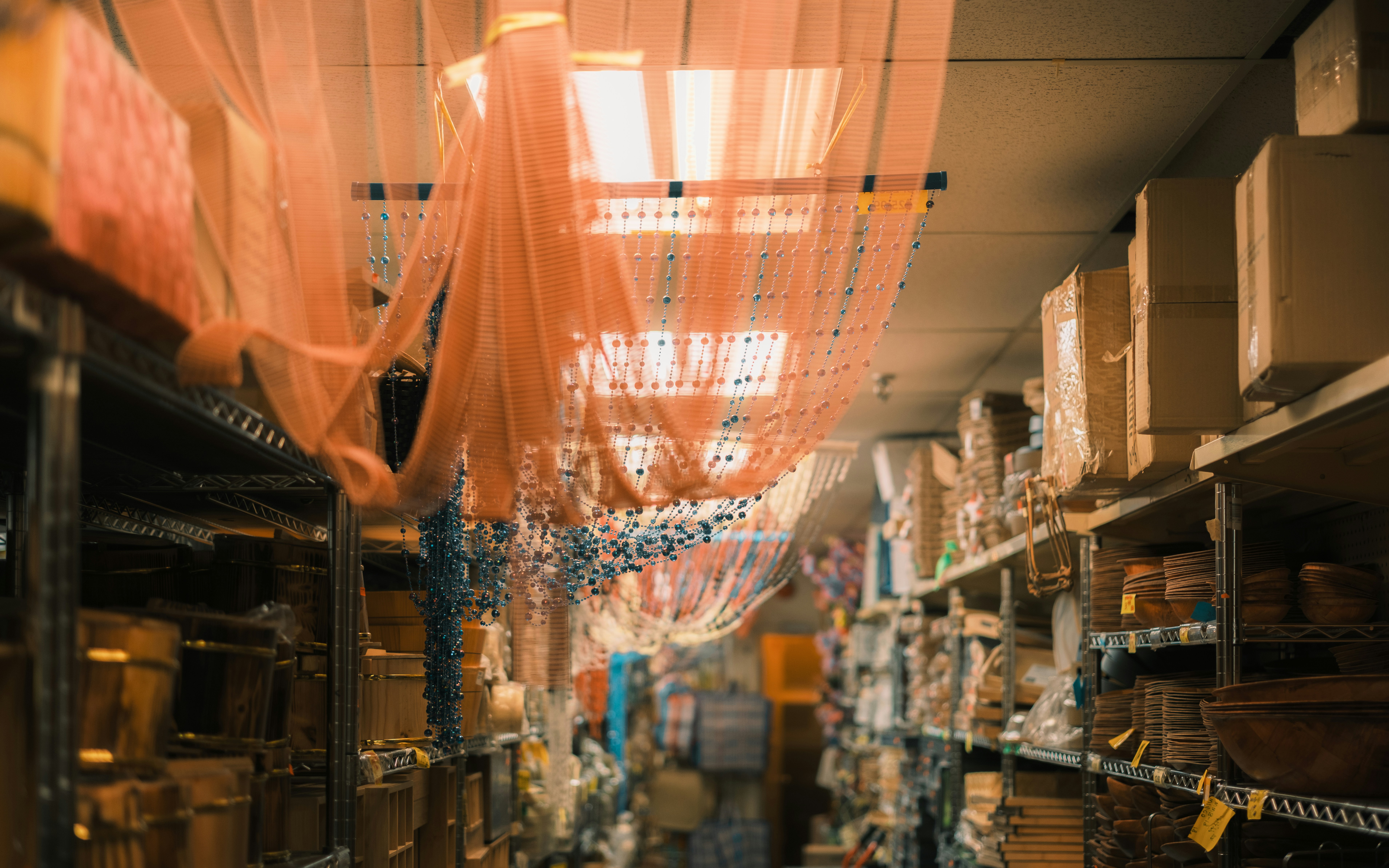Grow Your Own: How the Most Decorated Supply Chain Leaders Are Becoming Architects of Talent