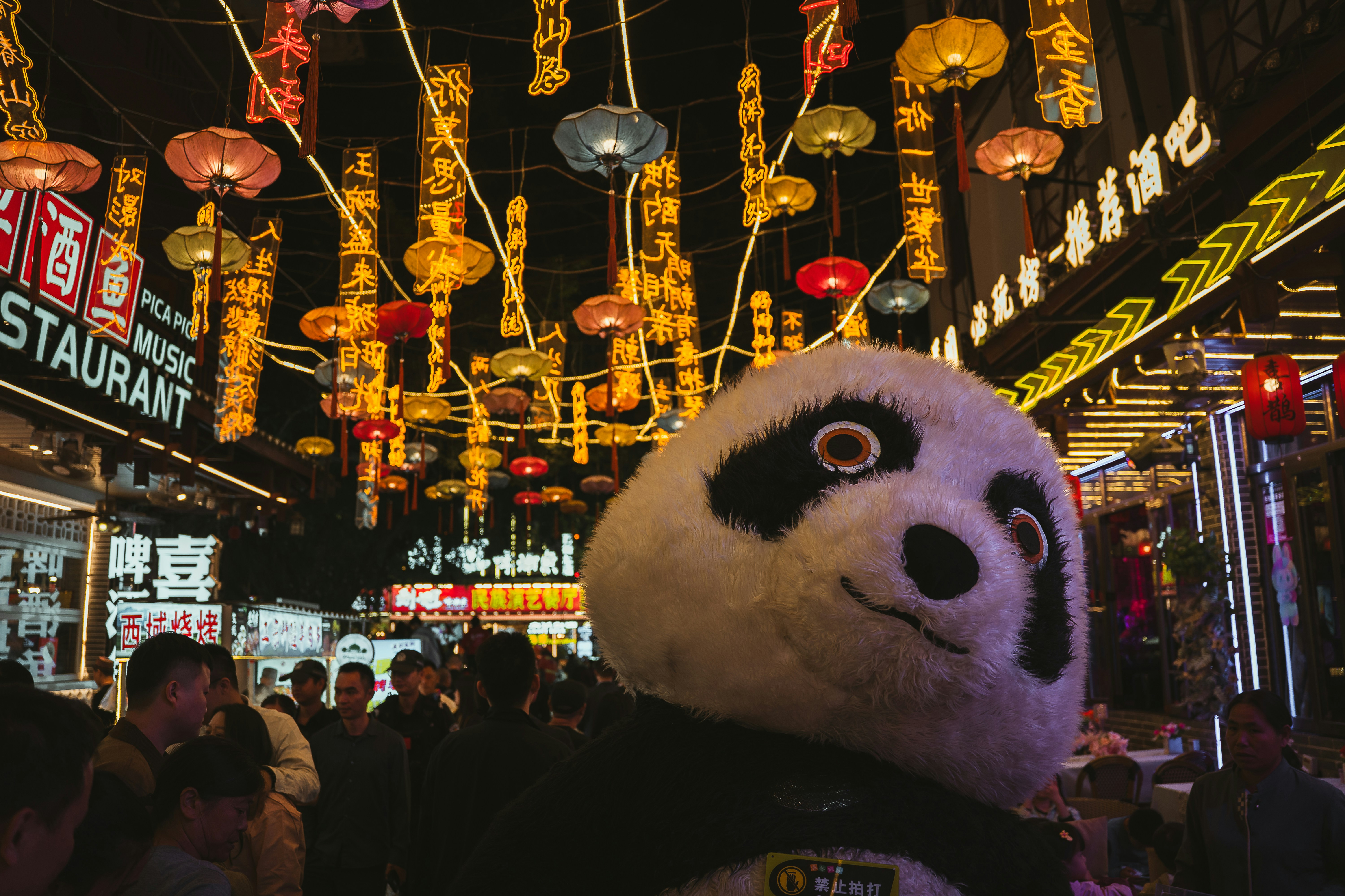Pessoa fantasiada de panda com lanternas à noite